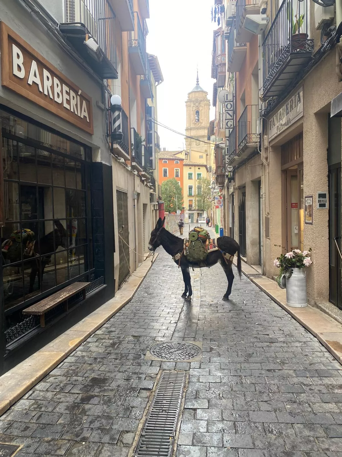 Aponie en la calle Ricardo el Monje con la Basílica de fondo