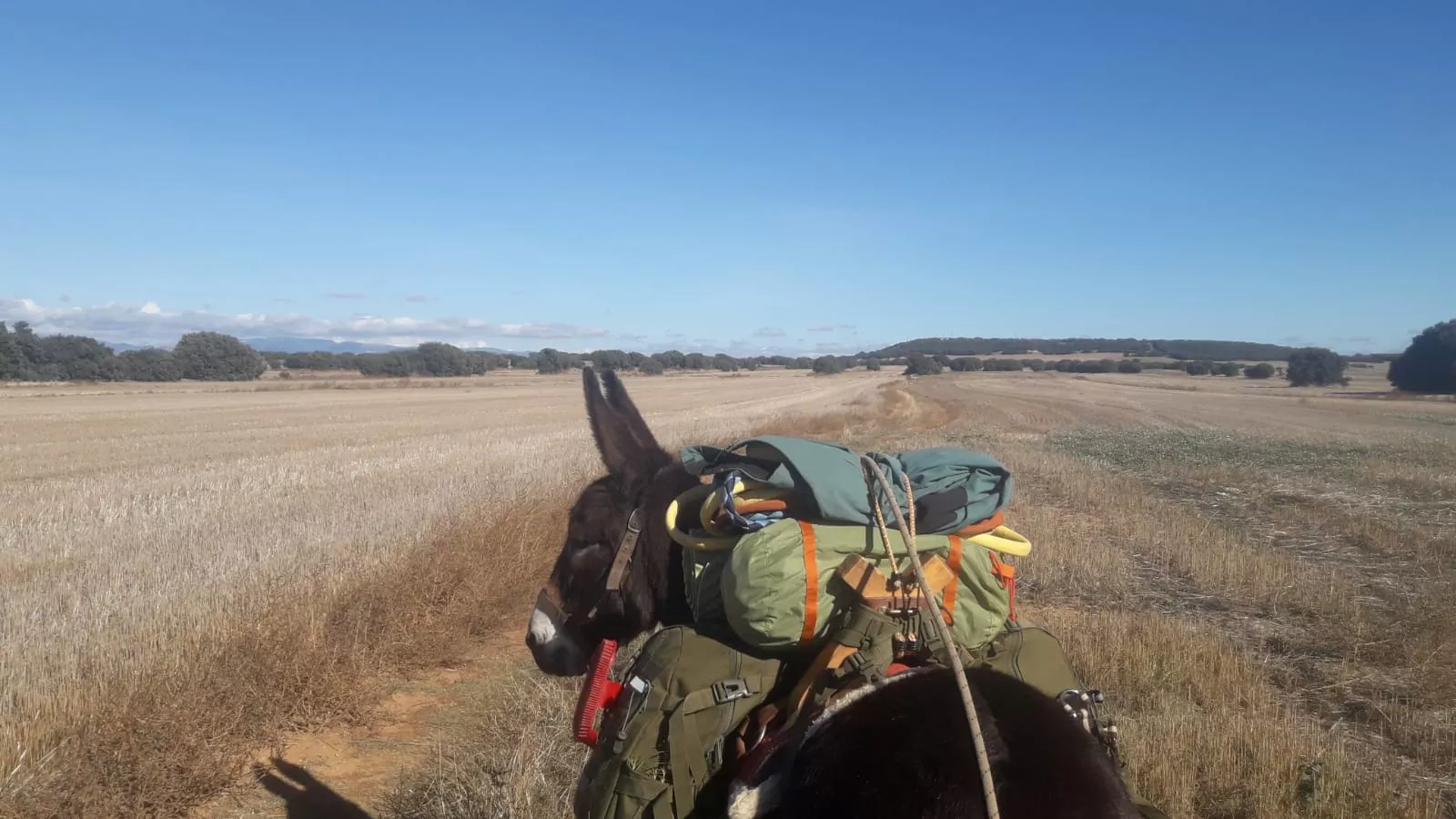 Aponie, campos adelante.