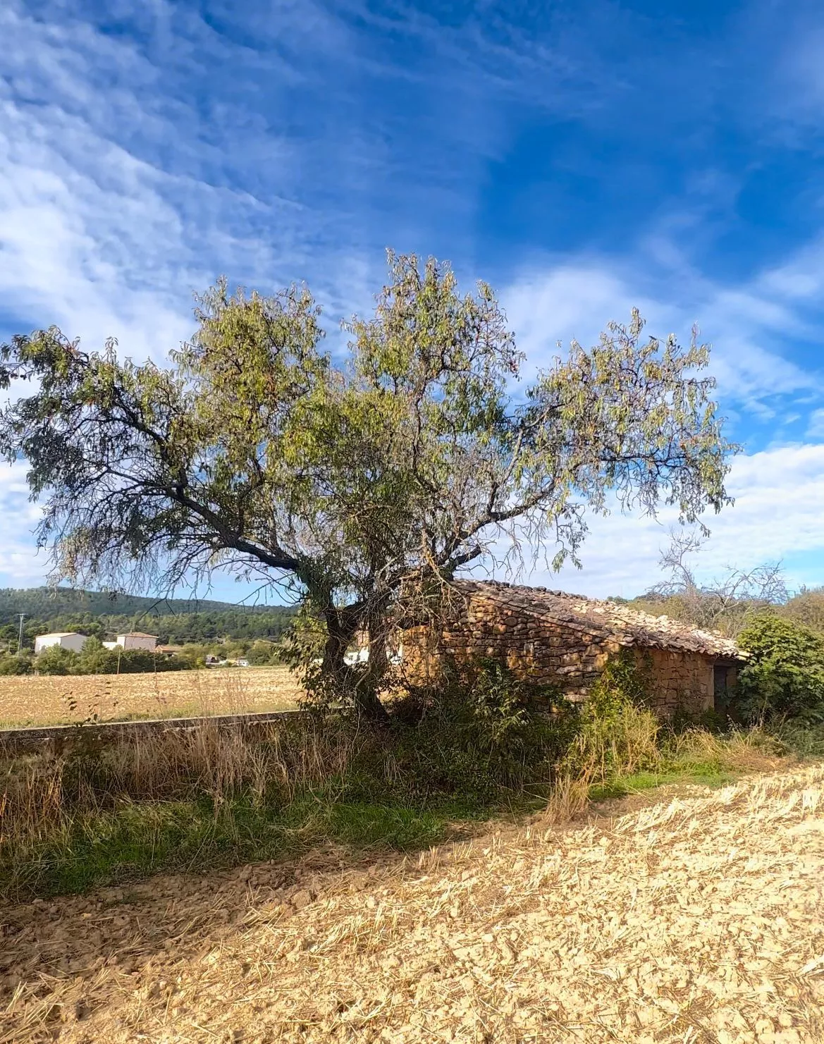 Pajar que sale a subasta en Murillo de Gállego.