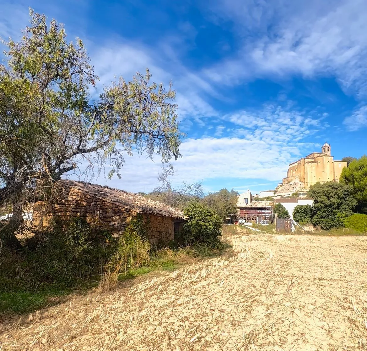 Pajar que sale a subasta en Murillo de Gállego.