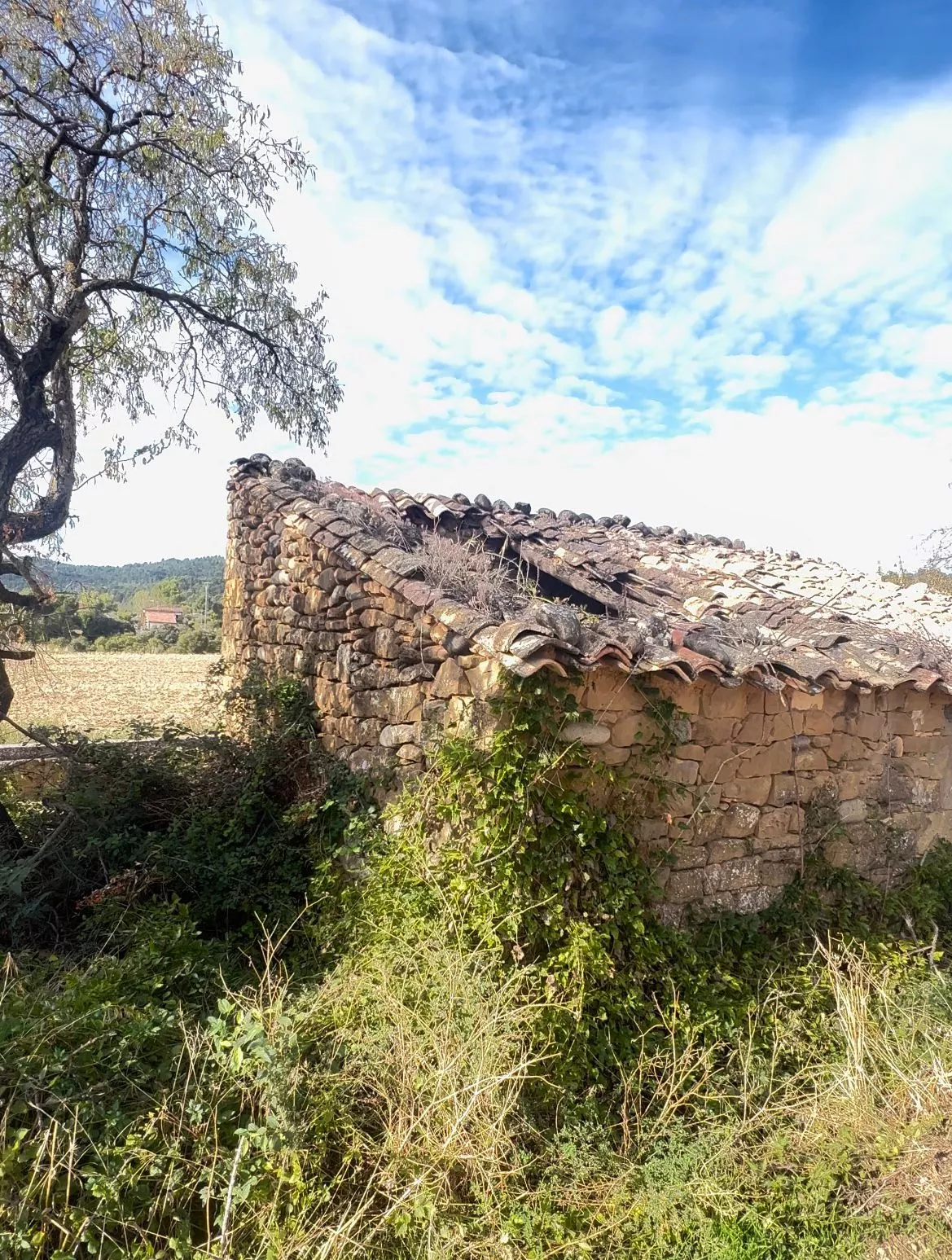 Pajar que sale a subasta en Murillo de Gállego.
