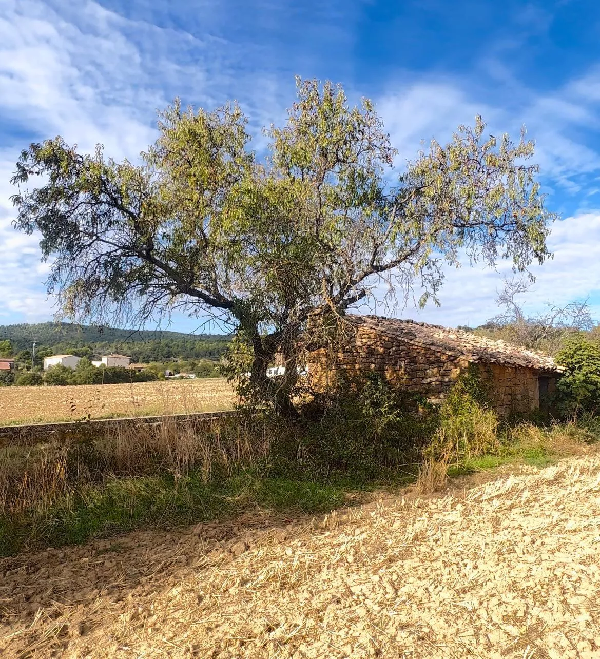 Pajar que sale a subasta en Murillo de Gállego con vistas a los Mallos de Riglos.