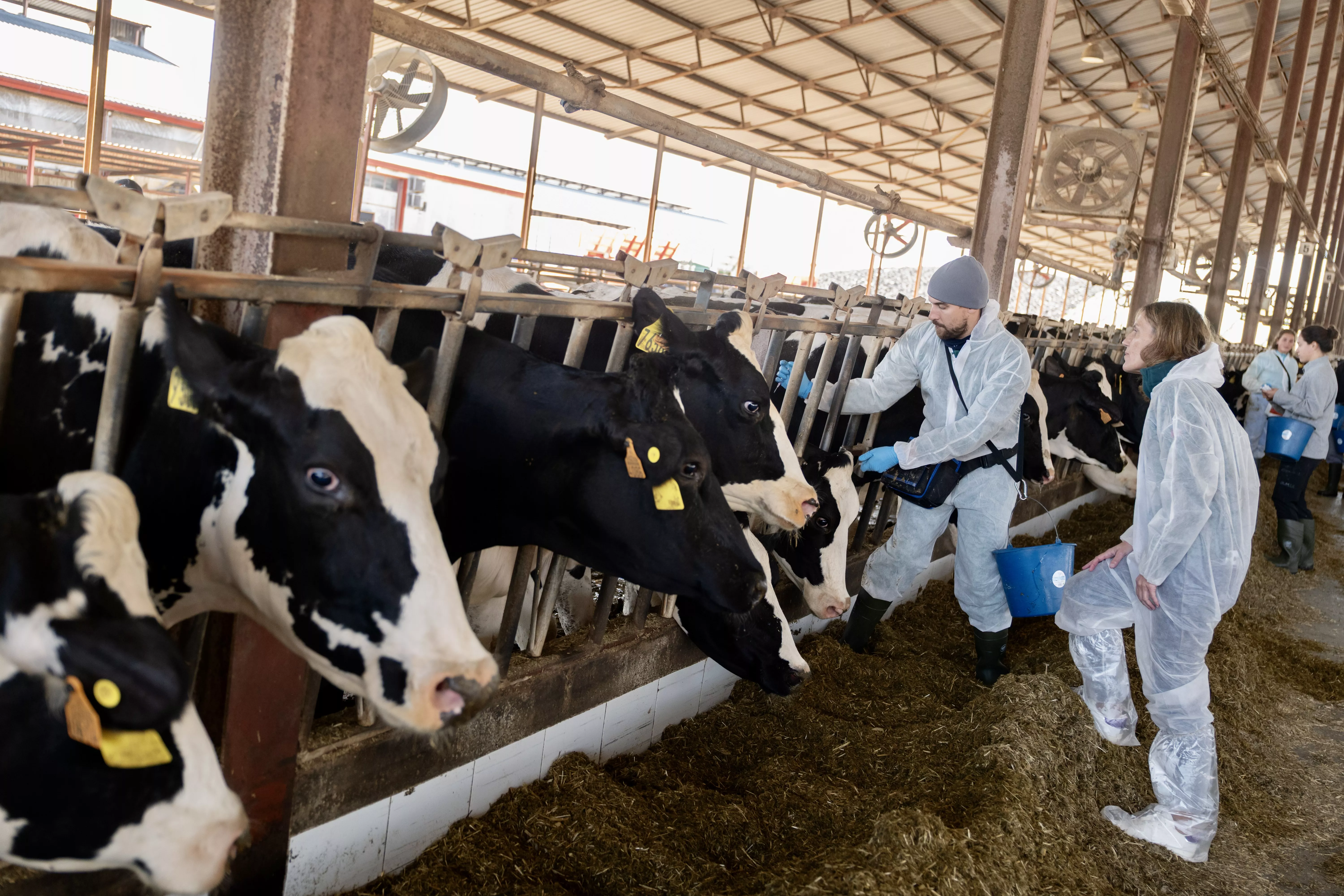 Aitziber Lanza ha asistido a la vacunación en la Granja San José de Tamarite de Litera.