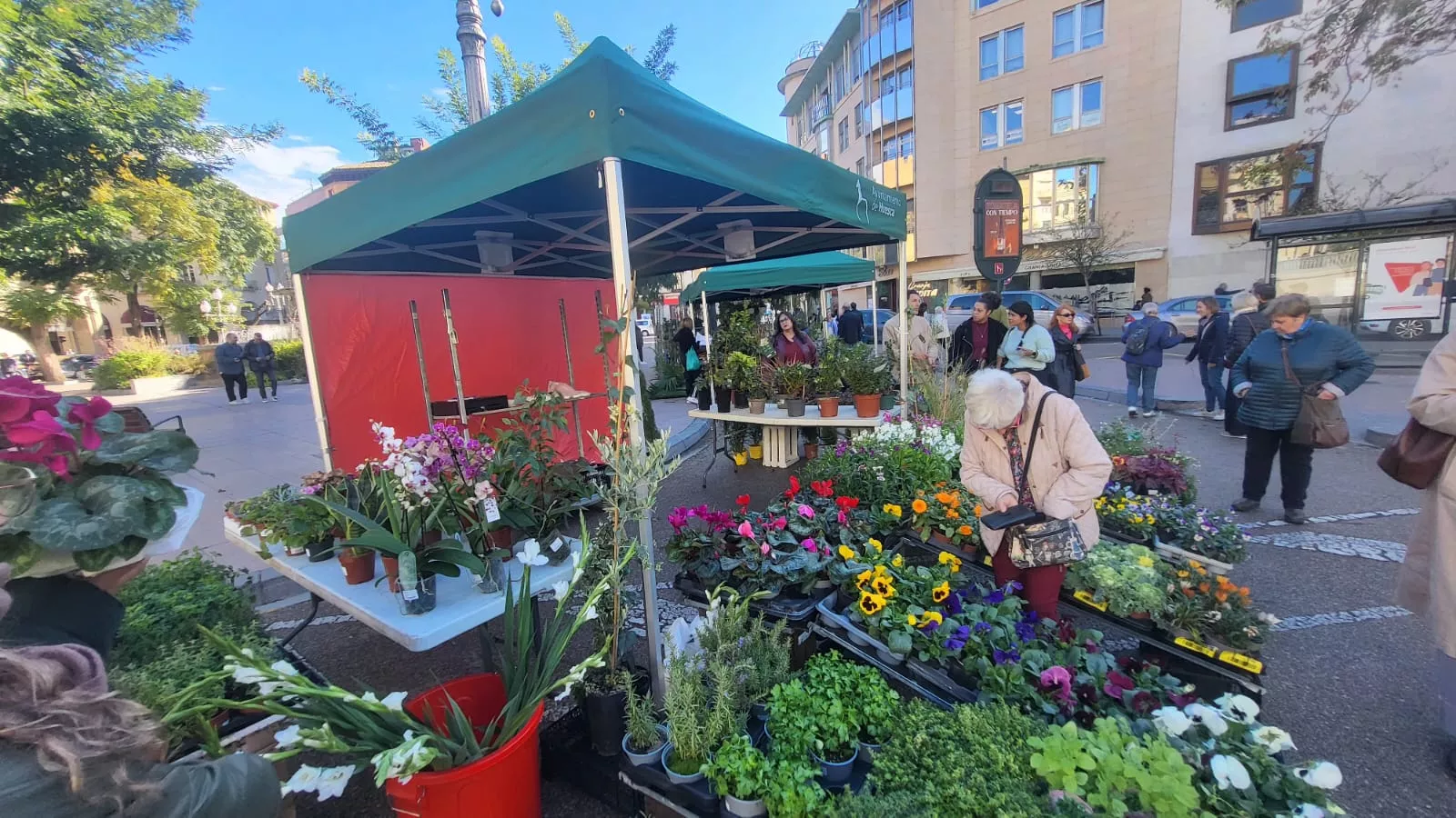 Mercado Agroecológico de Huesca con su nuevo aspecto