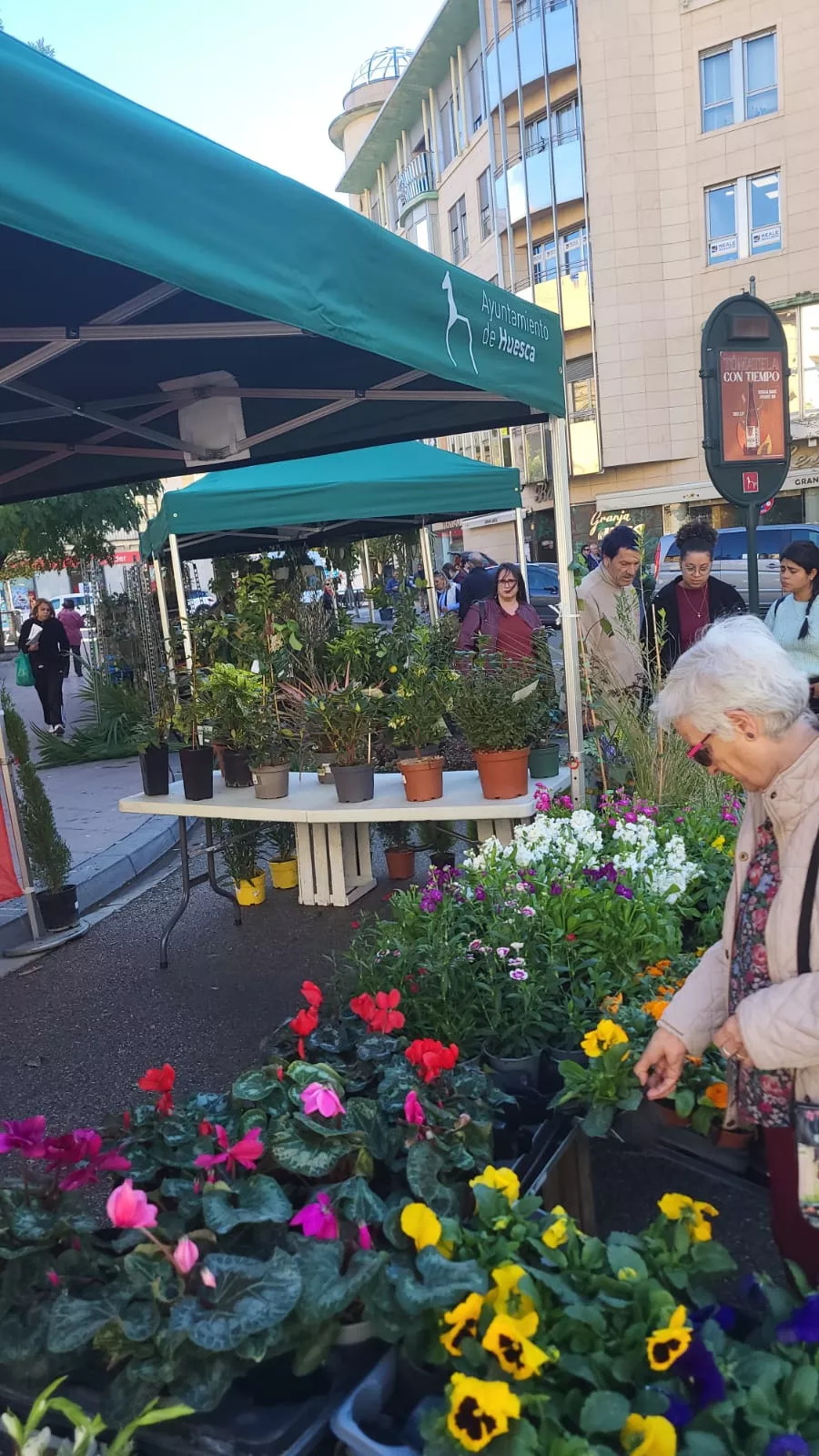 Mercado Agroecológico de Huesca con su nuevo aspecto