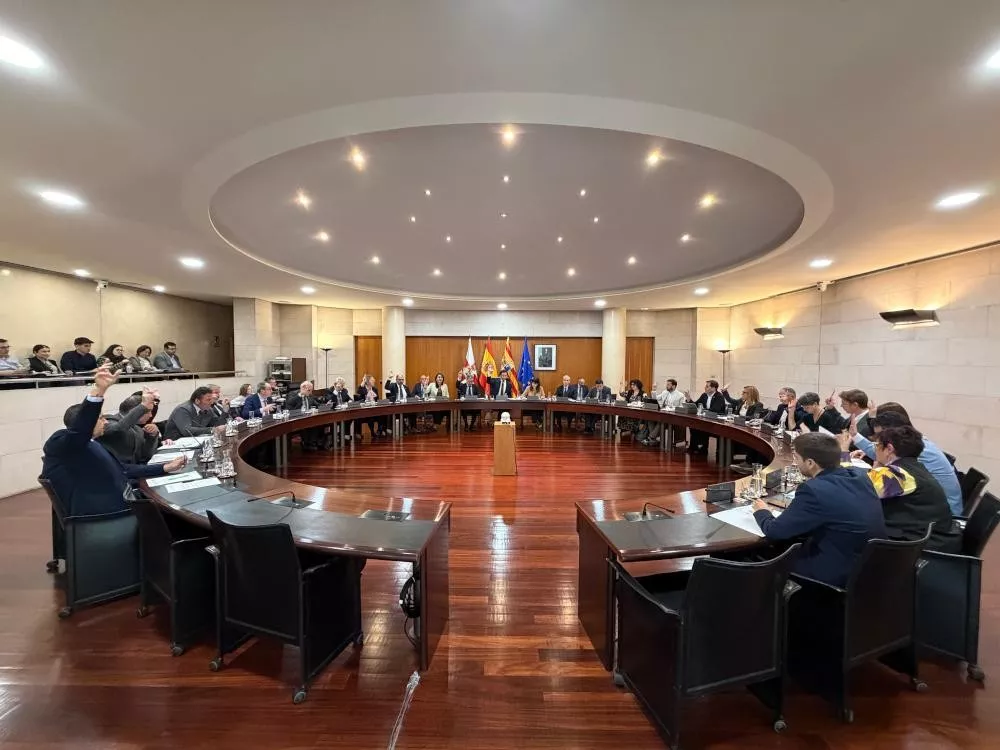 Pleno celebrado en noviembre por la DPH.