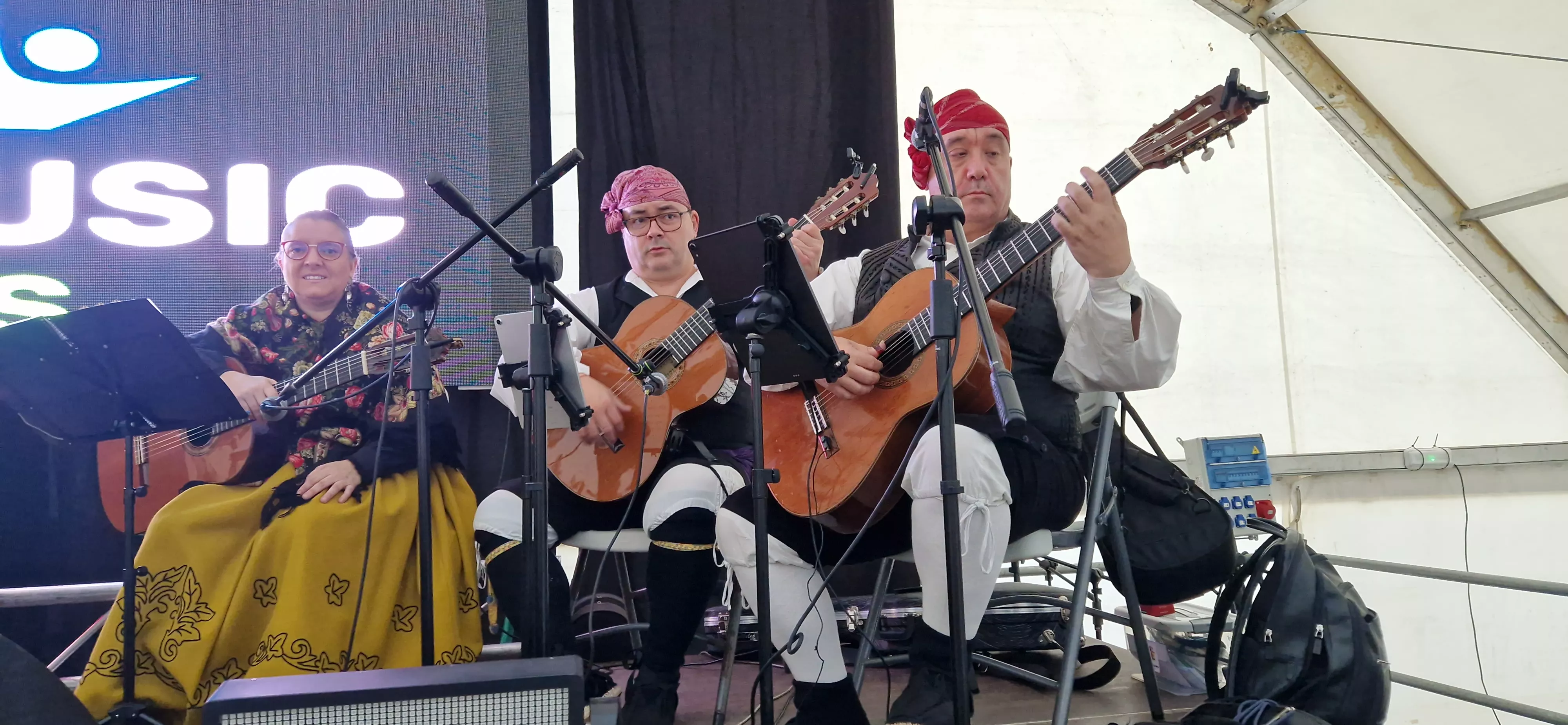 Elenco Aragonés. Proclamación de mairalesas y mainates de San Martín y homenaje a la familia Luna. Foto Myriam Martínez