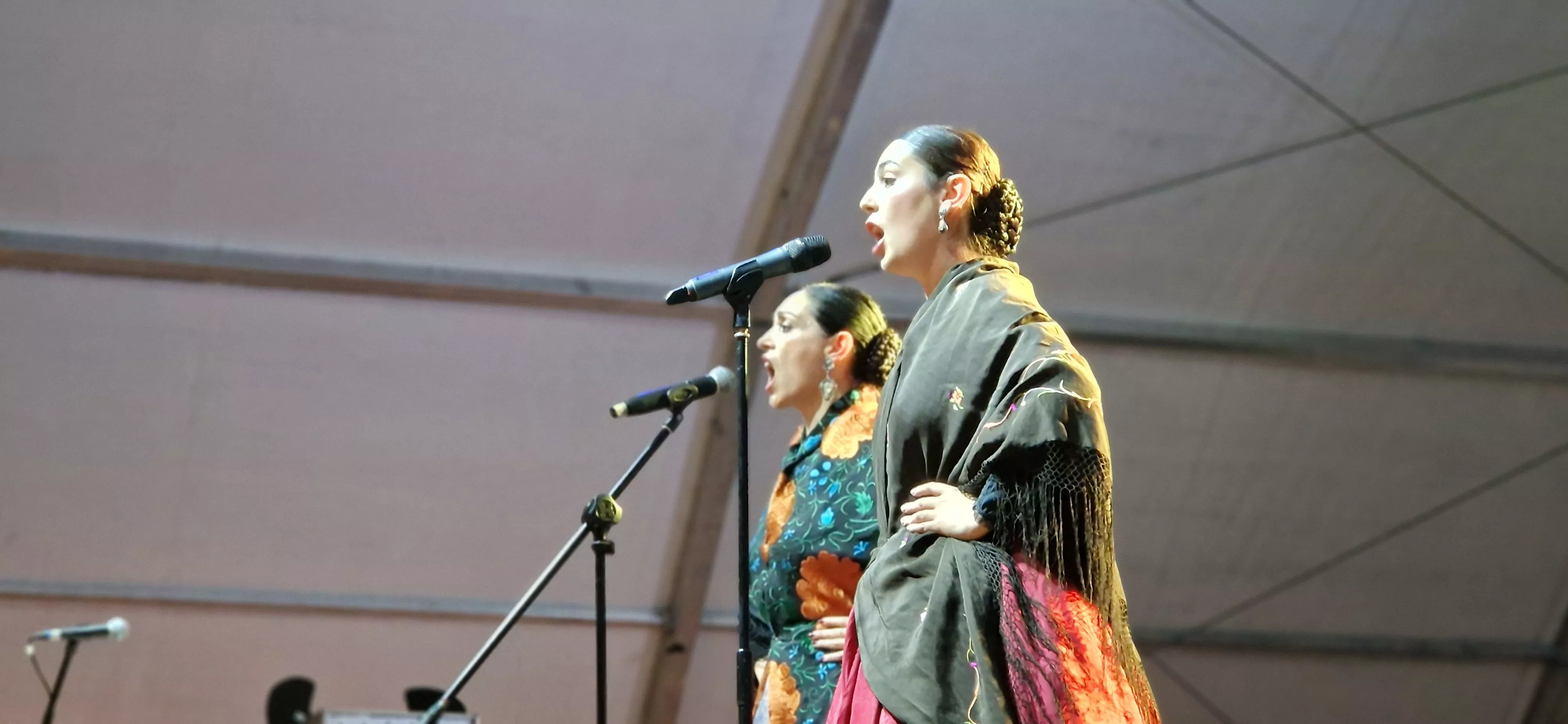 Mercees Budiós y Marta Torralba. Proclamación de mairalesas y mainates de San Martín y homenaje a la familia Luna. Foto Myriam Martínez