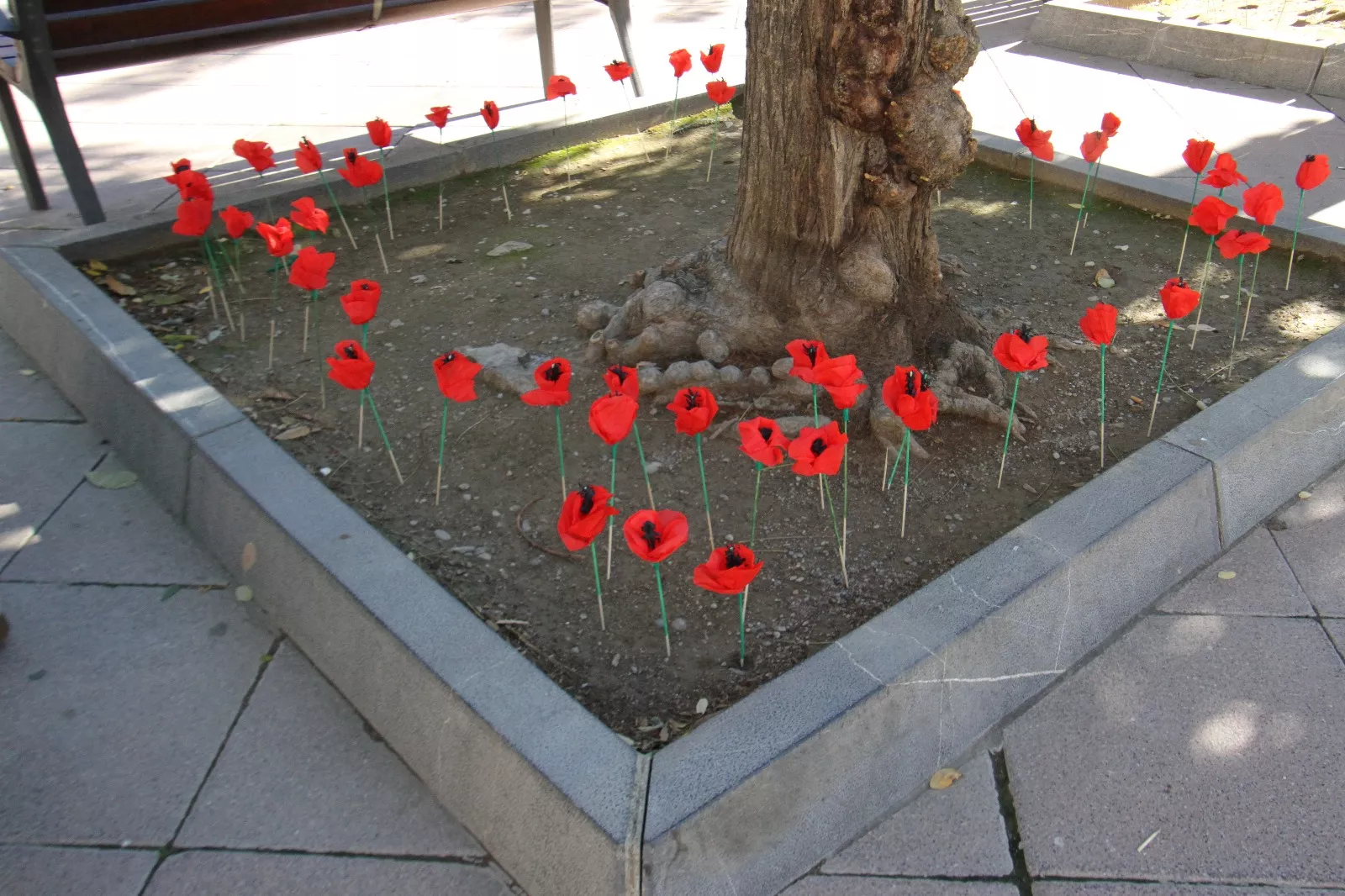 Nueva manifestación Huesca con Palestina. Foto Carlos Neofato