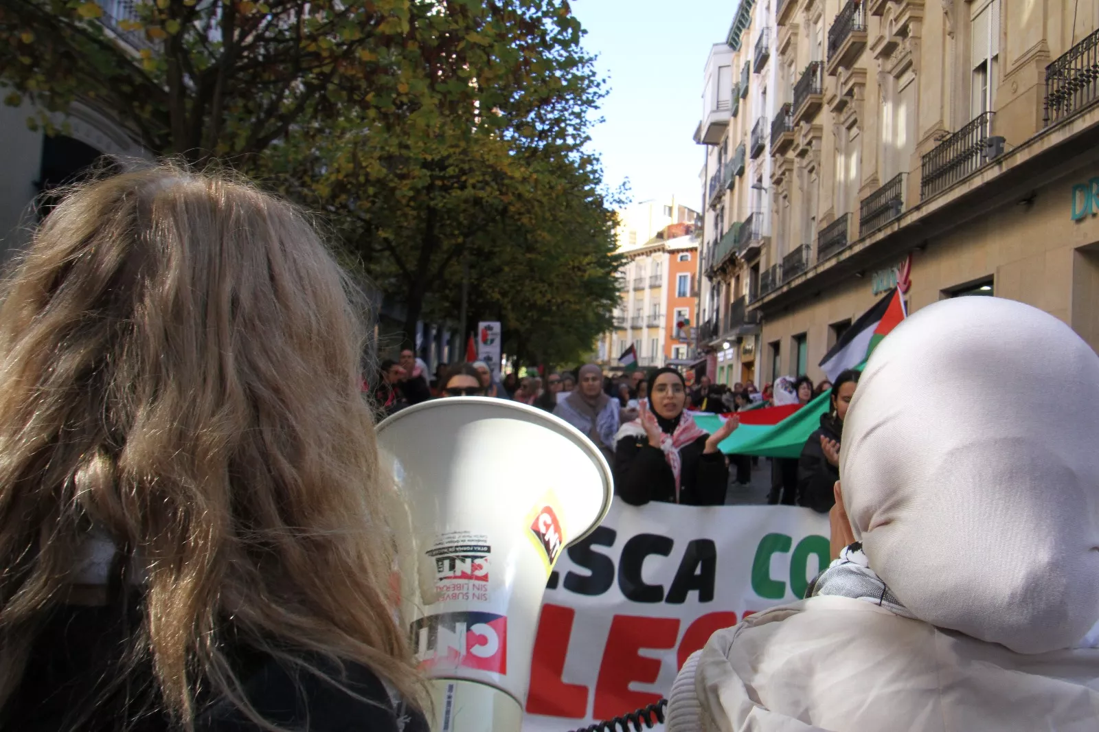 Nueva manifestación Huesca con Palestina. Foto Carlos Neofato