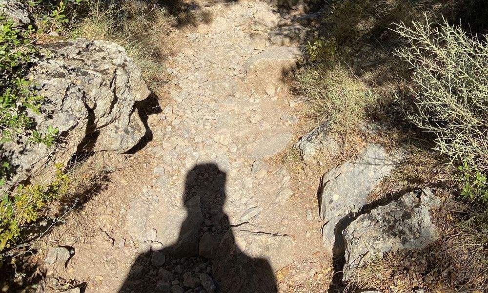 Los nuevos caminos de la estrategia