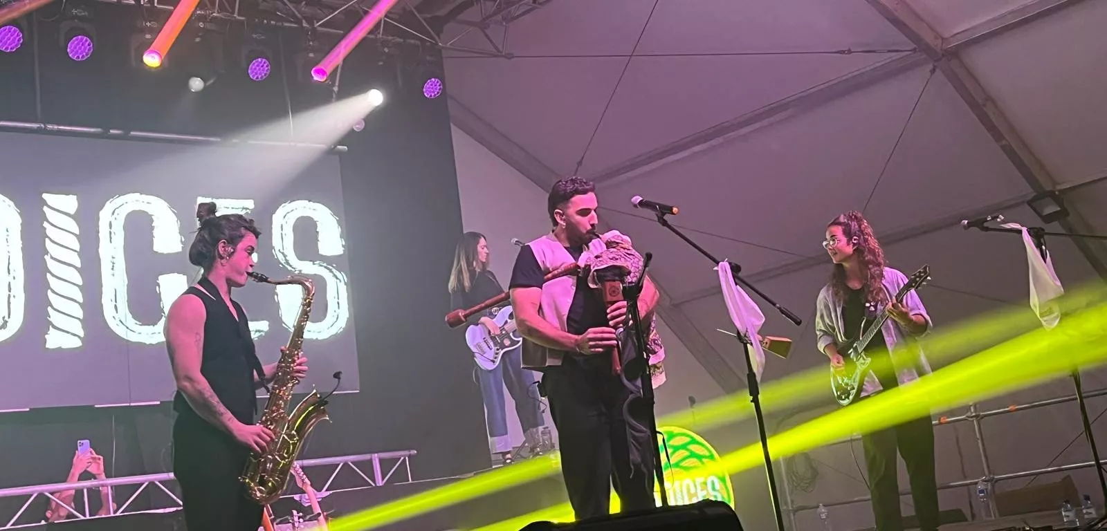 Actuación de Radices en el festival Luna Lunera de las fiestas de San Martín. Foto Mercedes Manterola