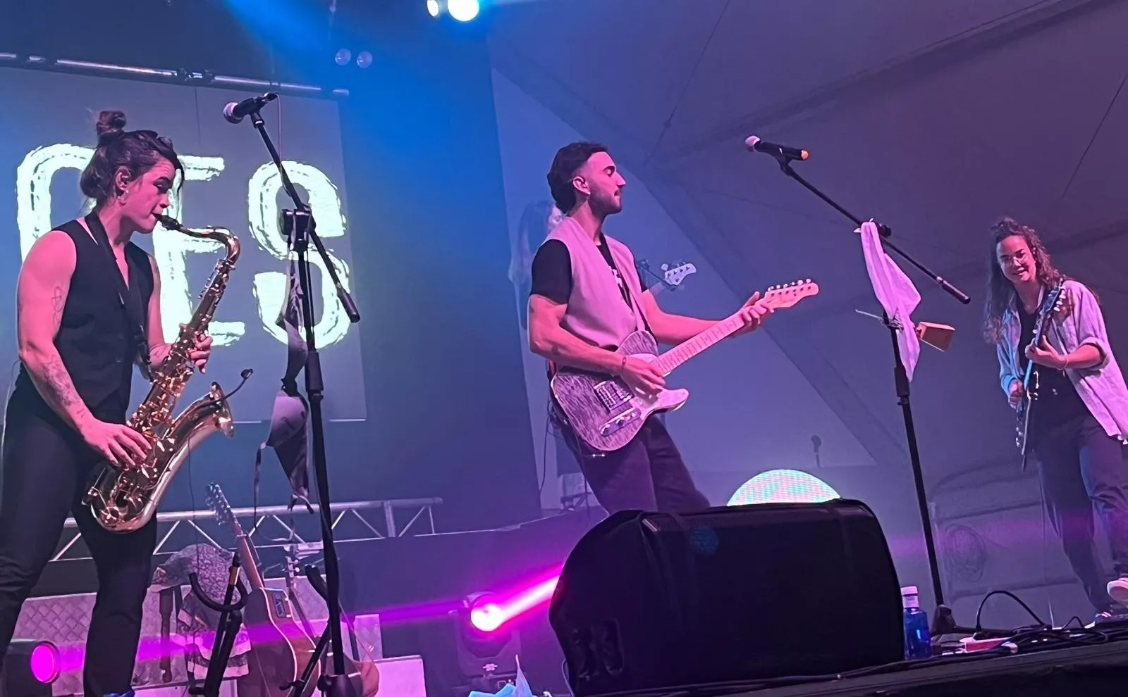Actuación de Radices en el festival Luna Lunera de las fiestas de San Martín. Foto Mercedes Manterola