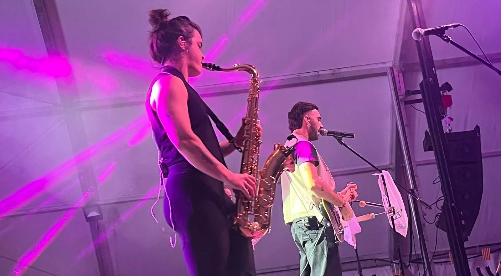 Actuación de Radices en el festival Luna Lunera de las fiestas de San Martín. Foto Mercedes Manterola