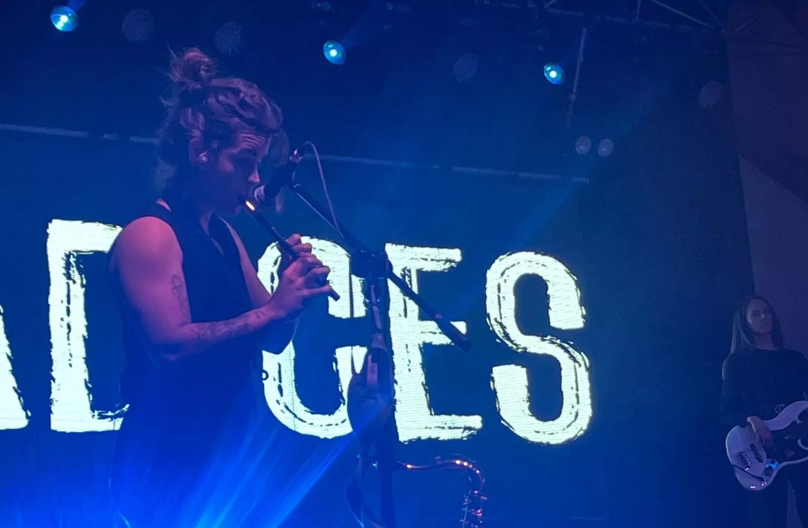 Actuación de Radices en el festival Luna Lunera de las fiestas de San Martín. Foto Mercedes Manterola