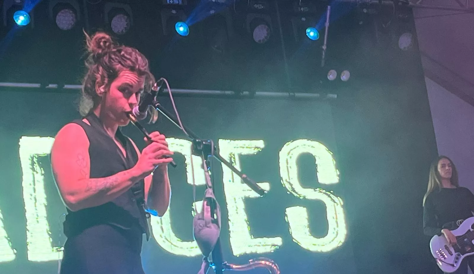Actuación de Radices en el festival Luna Lunera de las fiestas de San Martín. Foto Mercedes Manterola