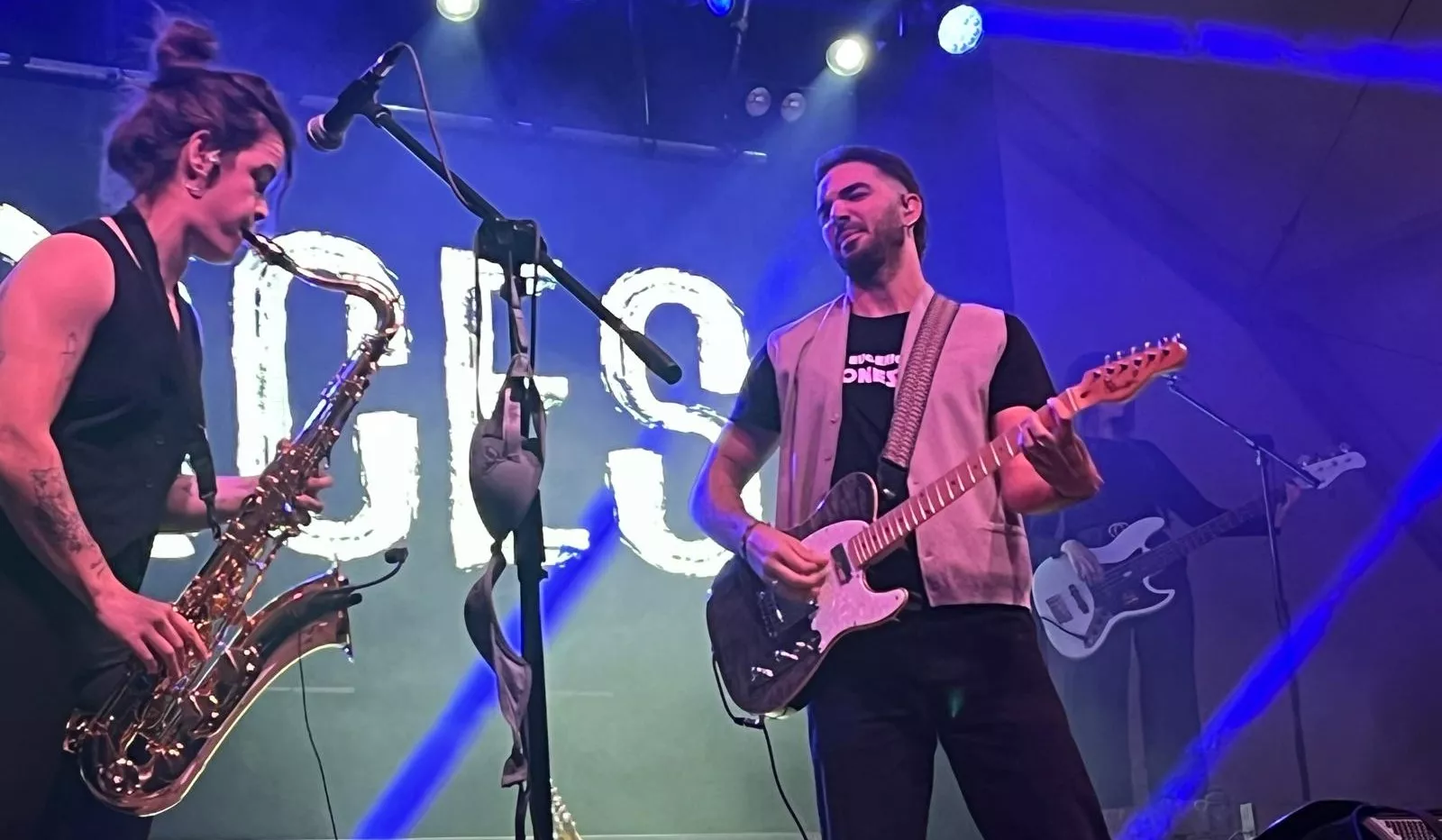 Actuación de Radices en el festival Luna Lunera de las fiestas de San Martín. Foto Mercedes Manterola