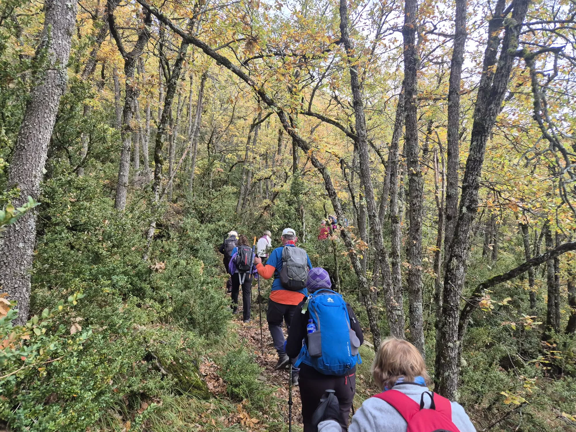 IV Marcha del Valle del Garona del Club de Montaña Javieres. Foto Juanlu Herrero