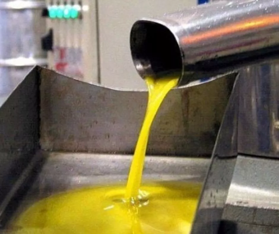 Barbastro celebra el sello europeo de la DOP Aceite del Somontano. Barbastro celebra el sello europeo de la DOP Aceite del Somontano.