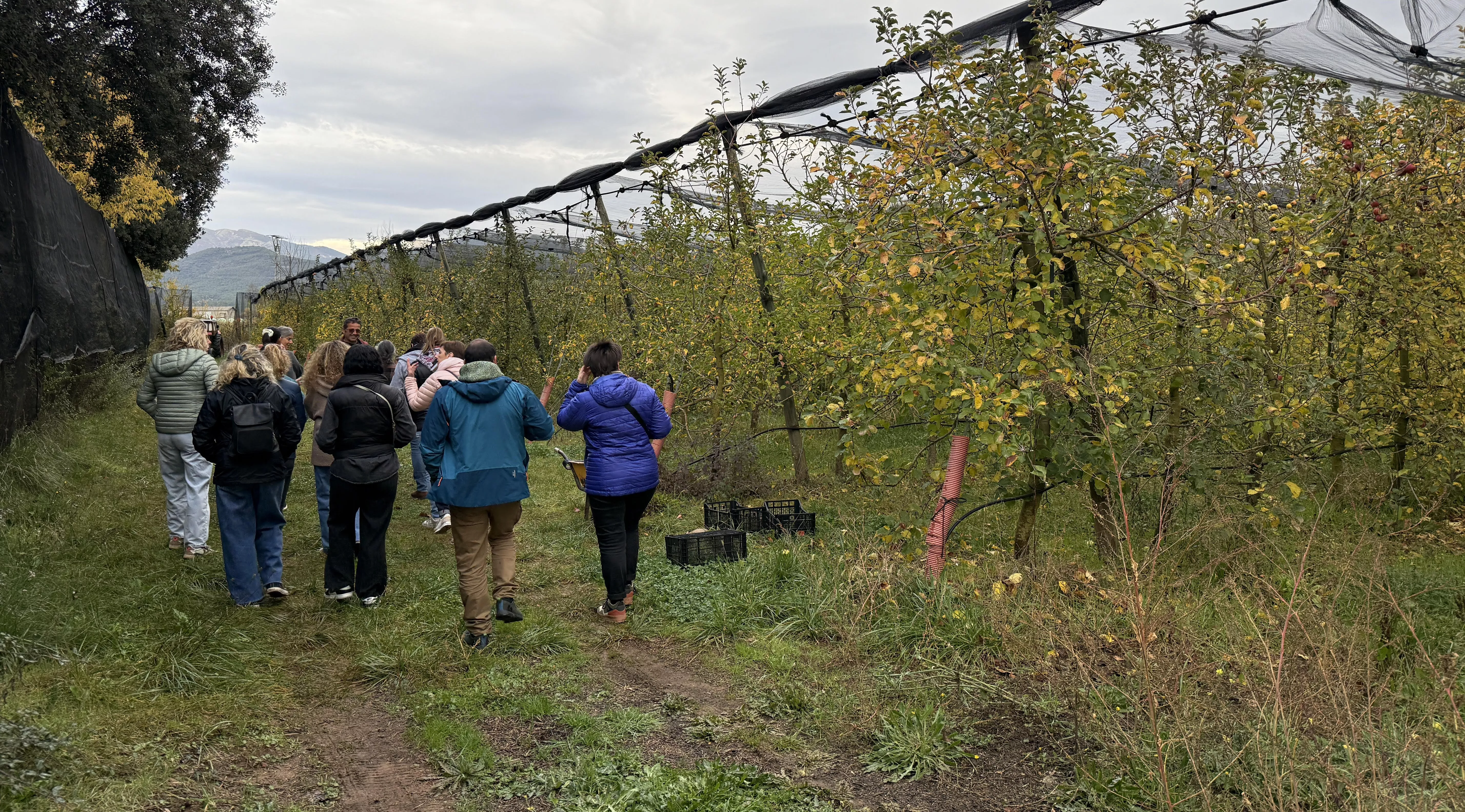 Visita a los manzanos de Ecofes.