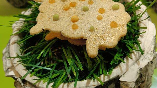 IMG 20230123 WA0004 IMG 20230123 WA0004