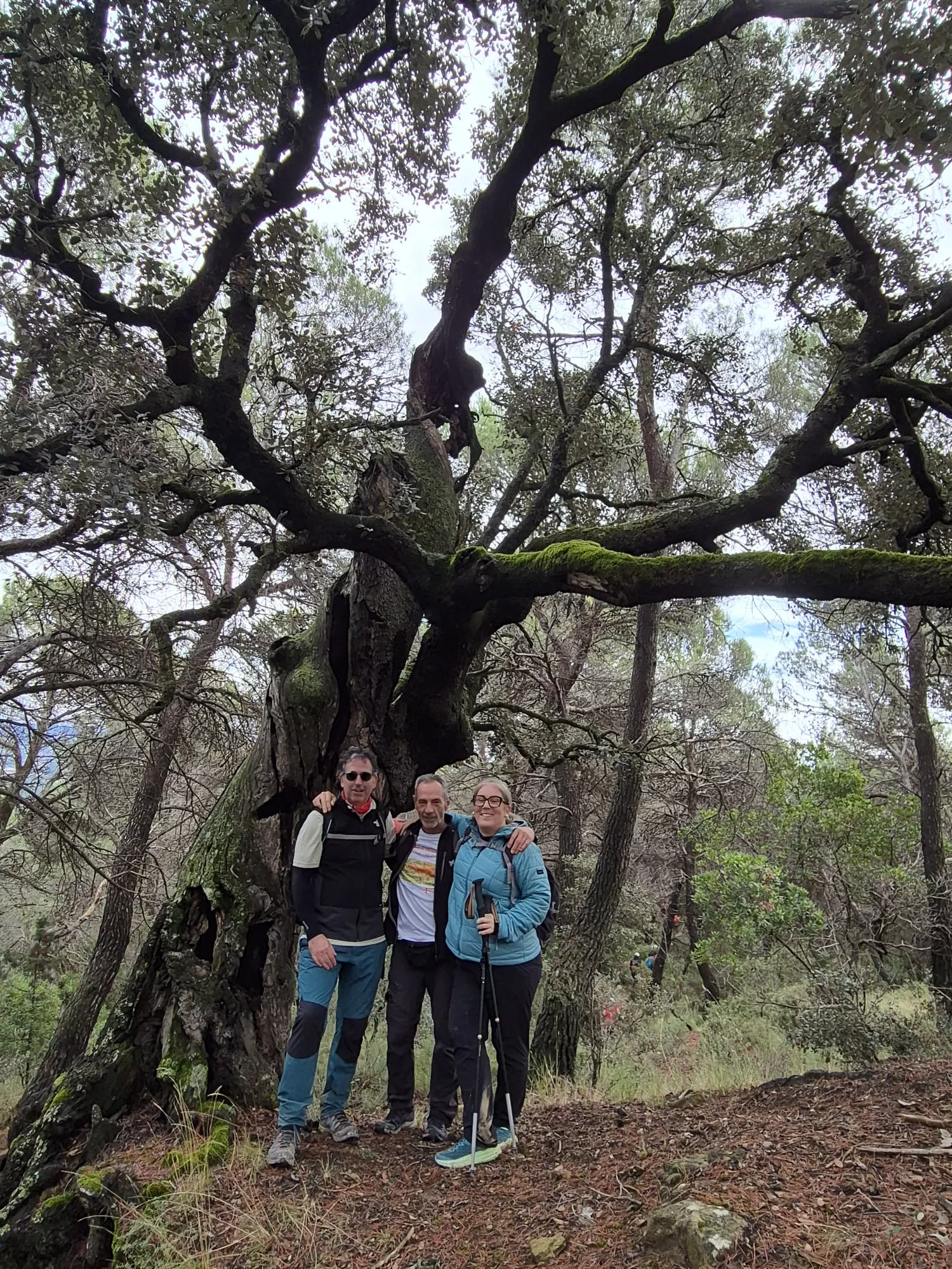 Javieres en el Reto de Santa Eulalia la Mayor y la cima de Santa Quiteria. Foto Juanlu Herrero