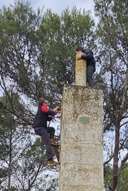 Javieres en el Reto de Santa Eulalia la Mayor y la cima de Santa Quiteria. Foto Juanlu Herrero