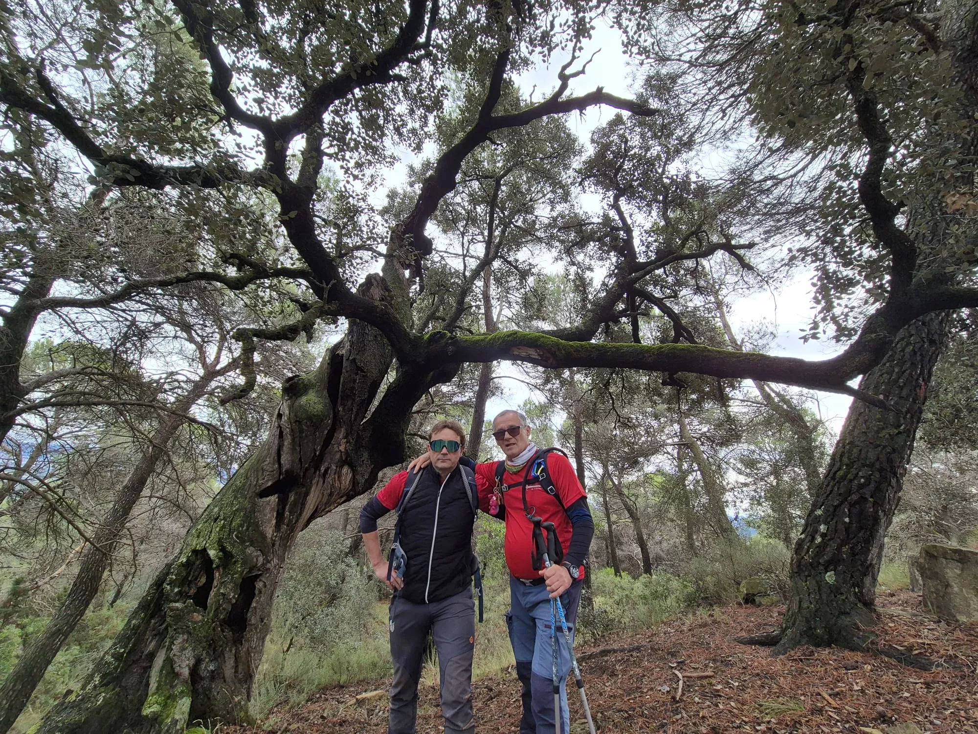 Javieres en el Reto de Santa Eulalia la Mayor y la cima de Santa Quiteria. Foto Juanlu Herrero