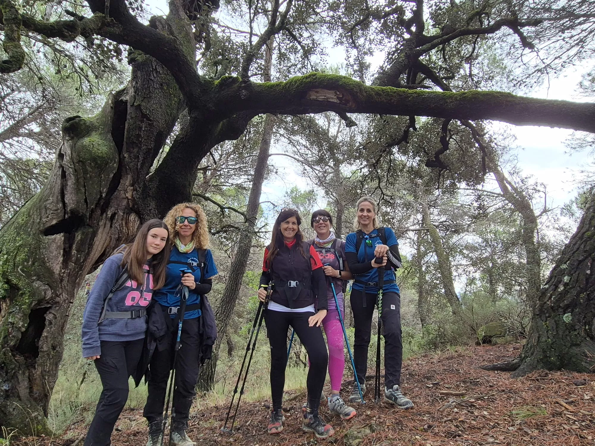 Javieres en el Reto de Santa Eulalia la Mayor y la cima de Santa Quiteria. Foto Juanlu Herrero