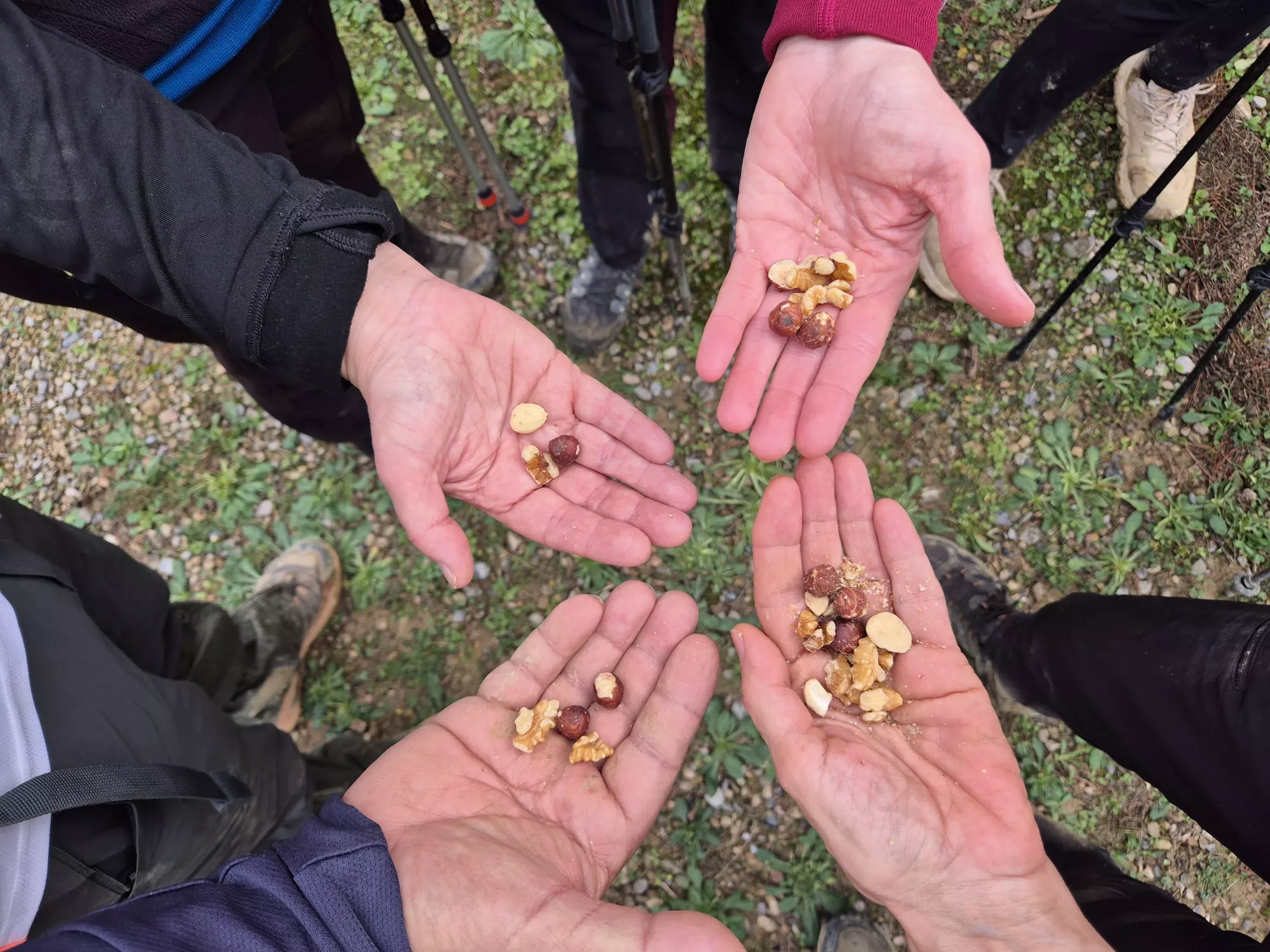 Javieres en el Reto de Santa Eulalia la Mayor y la cima de Santa Quiteria. Foto Juanlu Herrero