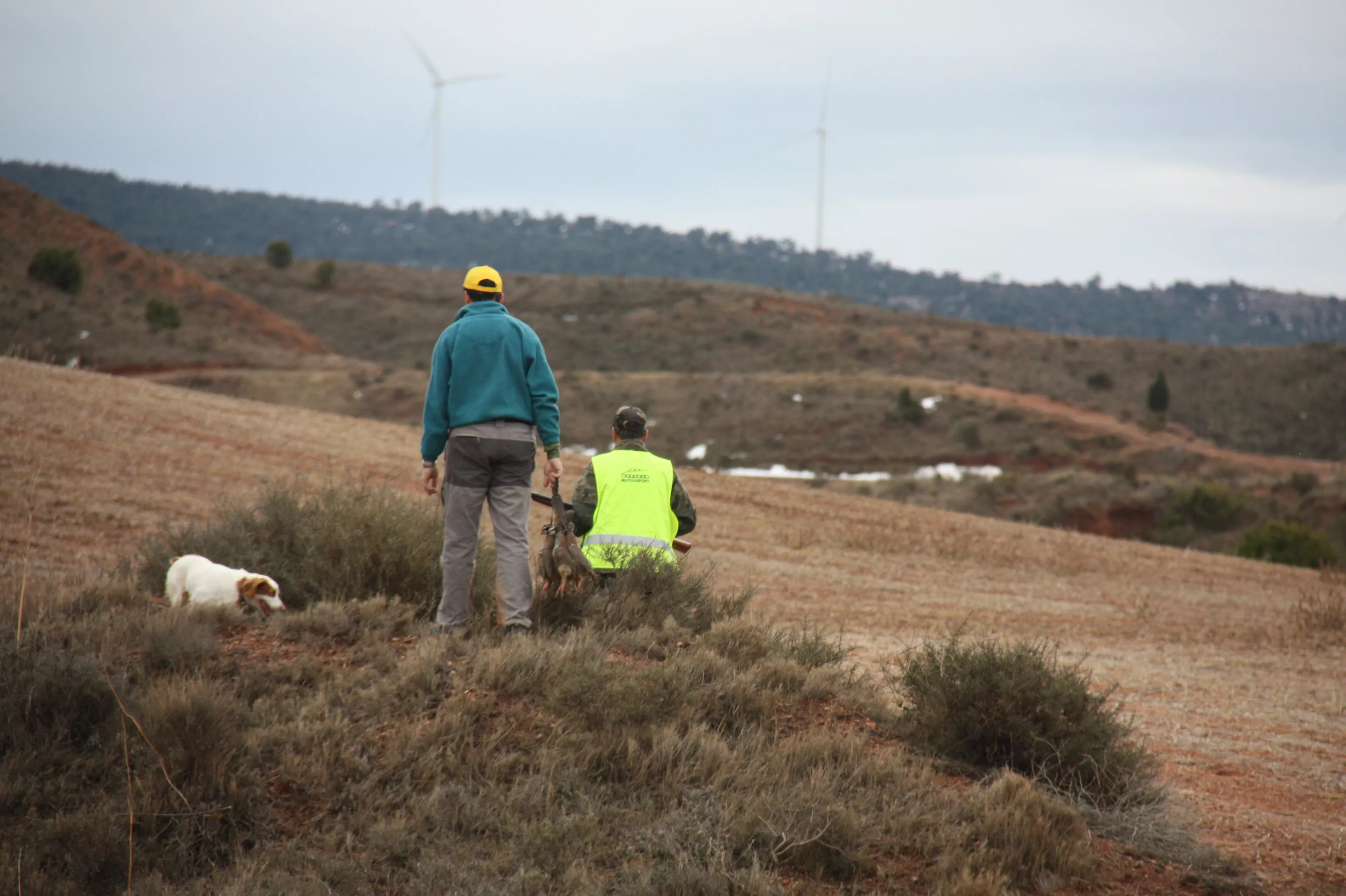 Aragón regula el enterramiento de perros de caza, pastores y de guarda del ganado. Aragón regula el enterramiento de perros de caza, pastores y de guarda del ganado.