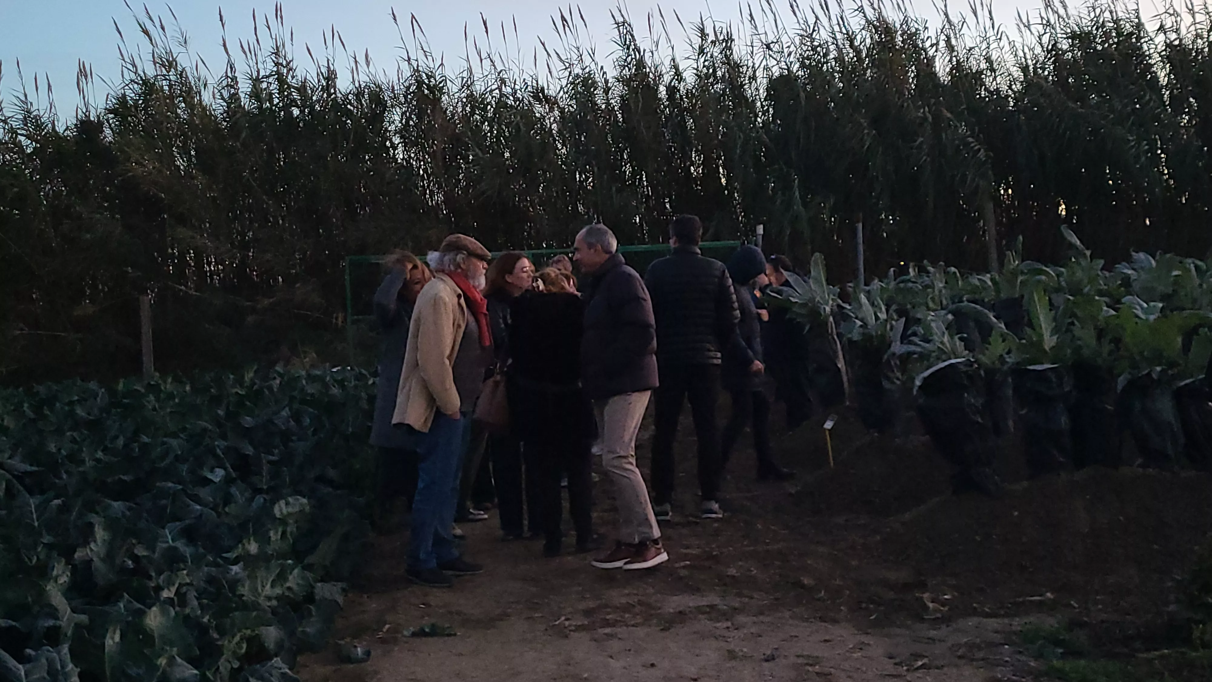 Inicio del proyecto "Hostelería de Barrio" en Huerta Barbereta. Foto Mercedes Manterola