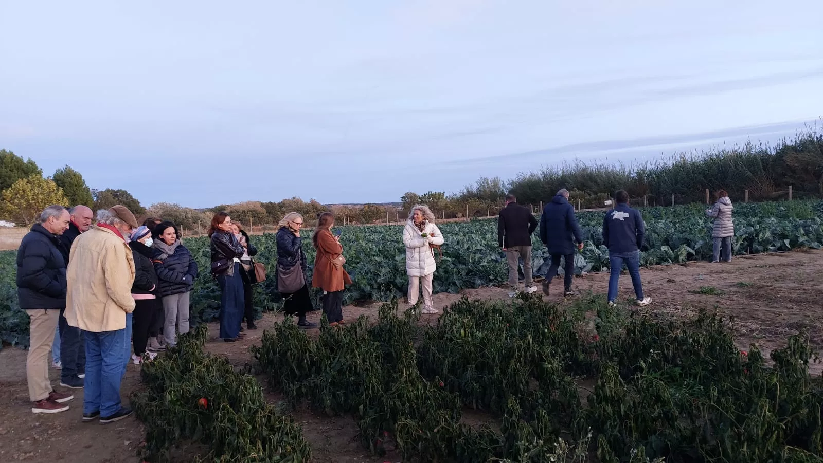 Inicio del proyecto "Hostelería de Barrio" en Huerta Barbereta. Foto Javier García Antón