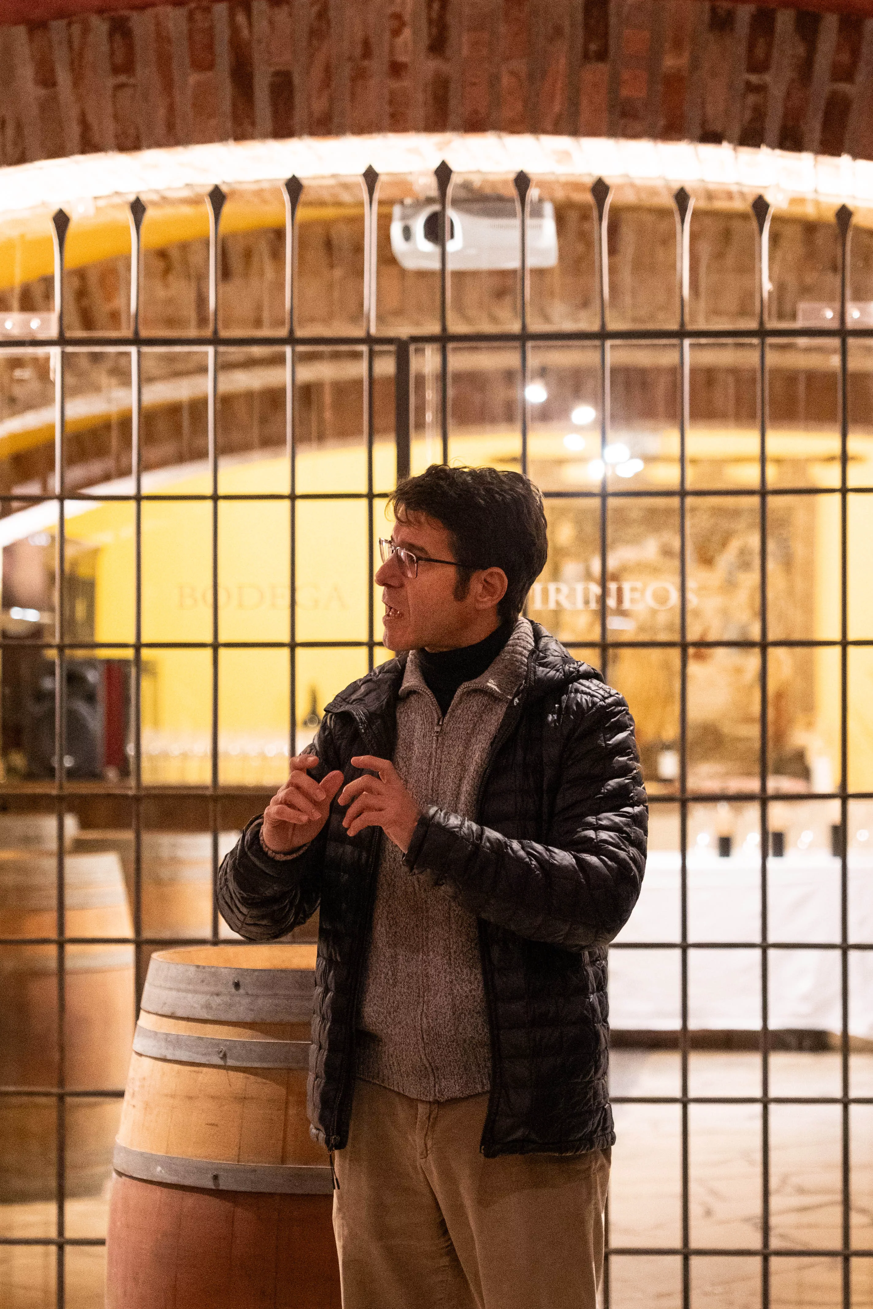 Vicente Ferreira, de la Universidad de Zaragoza Vicente Ferreira, de la Universidad de Zaragoza