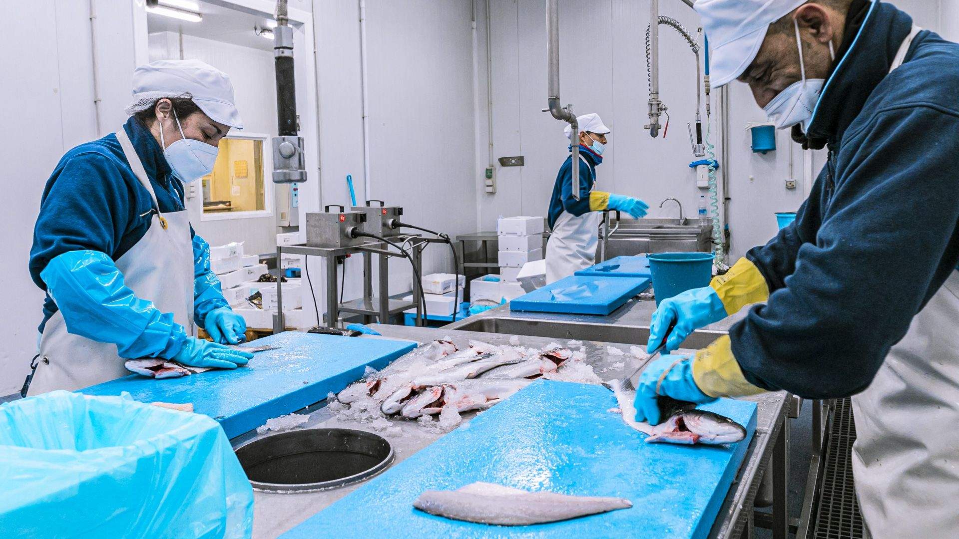 La Coruñesa, sala de elaboración. Foto Xavier d'Arquer.