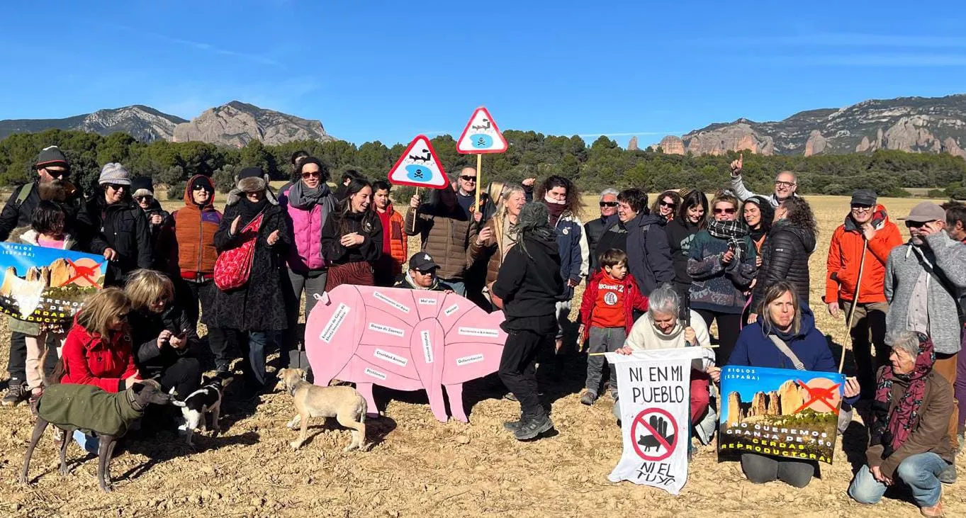 Más de medio centenar de personas marchan en Riglos contra la macrogranja porcina proyectada. Más de medio centenar de personas marchan en Riglos contra la macrogranja porcina proyectada.