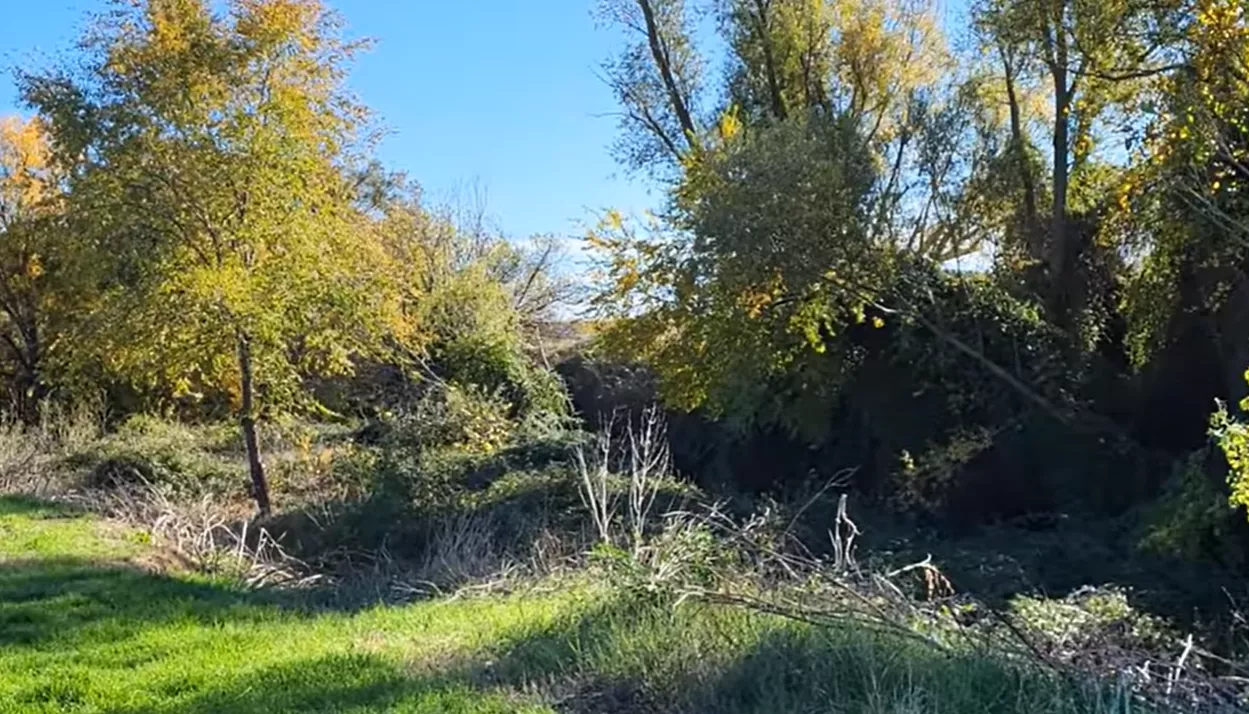 Tramo del río Isuela en la zona de Salas. Tramo del río Isuela en la zona de Salas.