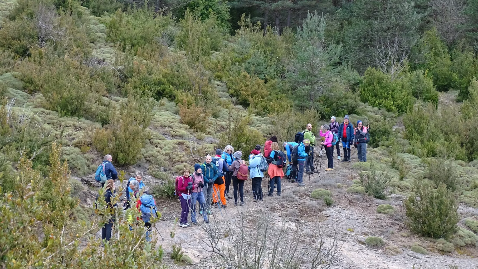 Hacia Bagüeste. Foto Alfredo Zazo