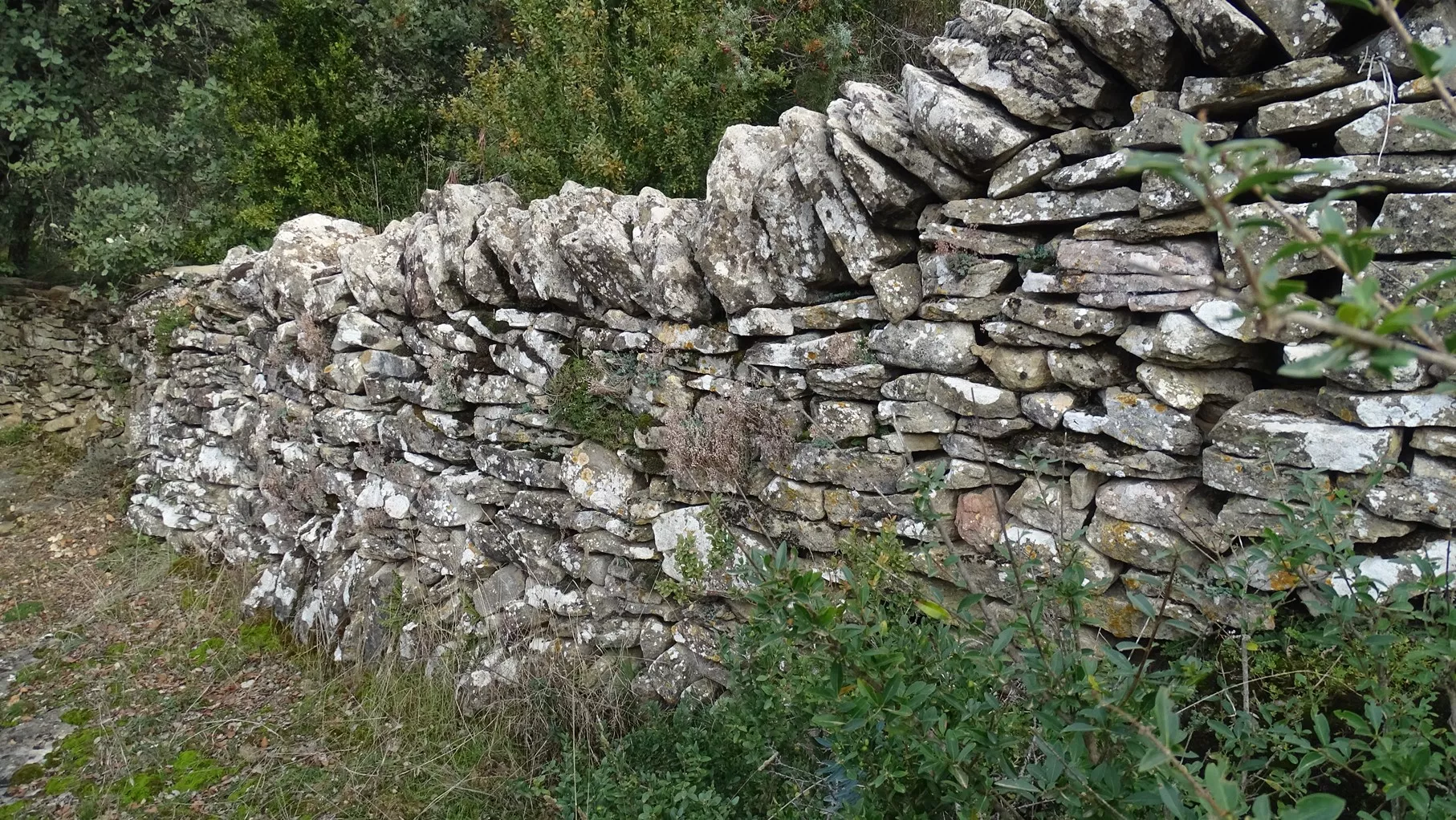 Muros piedra seca Cheto. Foto Alfredo Zazo