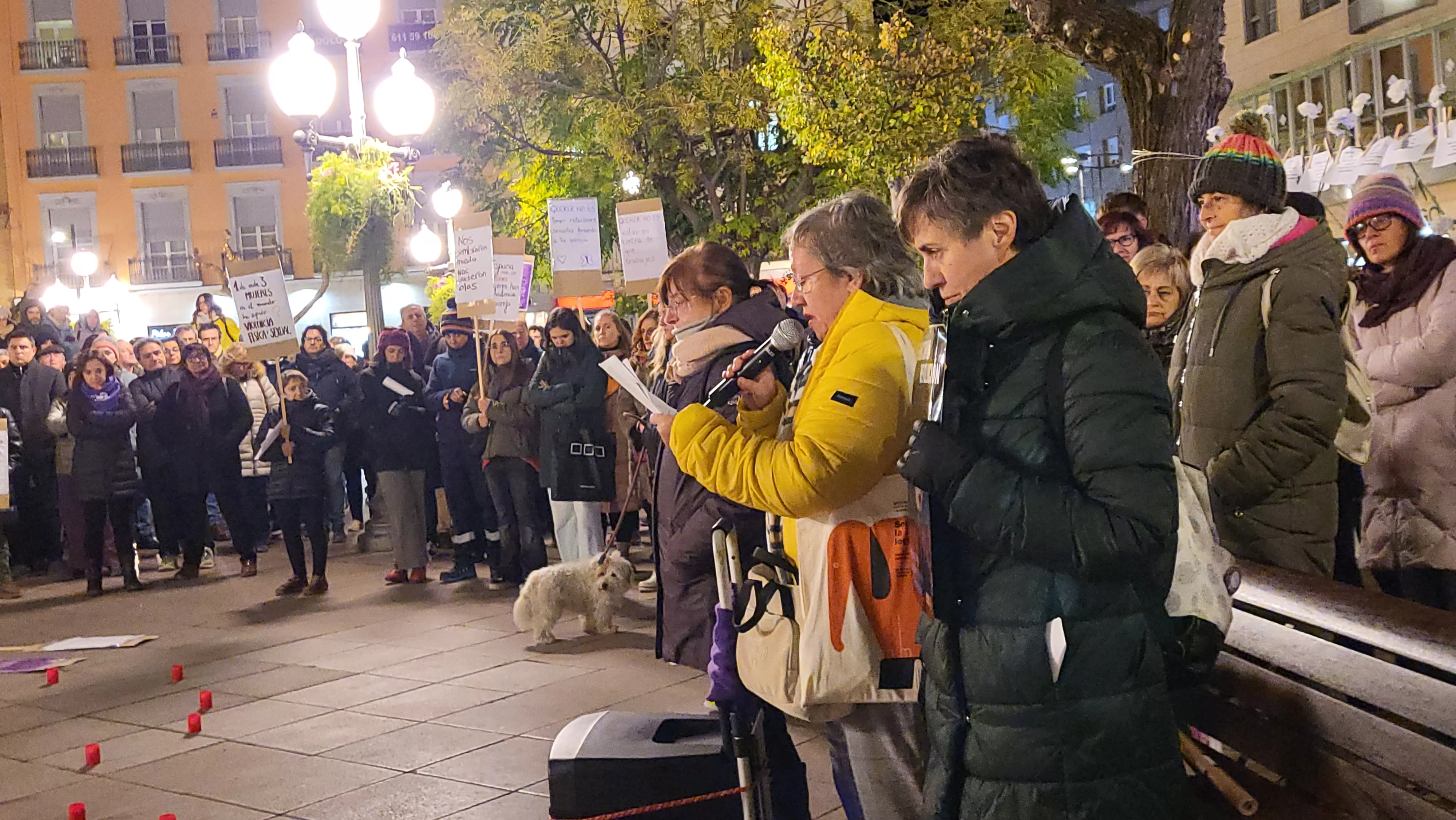 Concentración del Día Internacional contra la Violencia contra las Mujeres en Huesca. Foto Mercedes Manterola