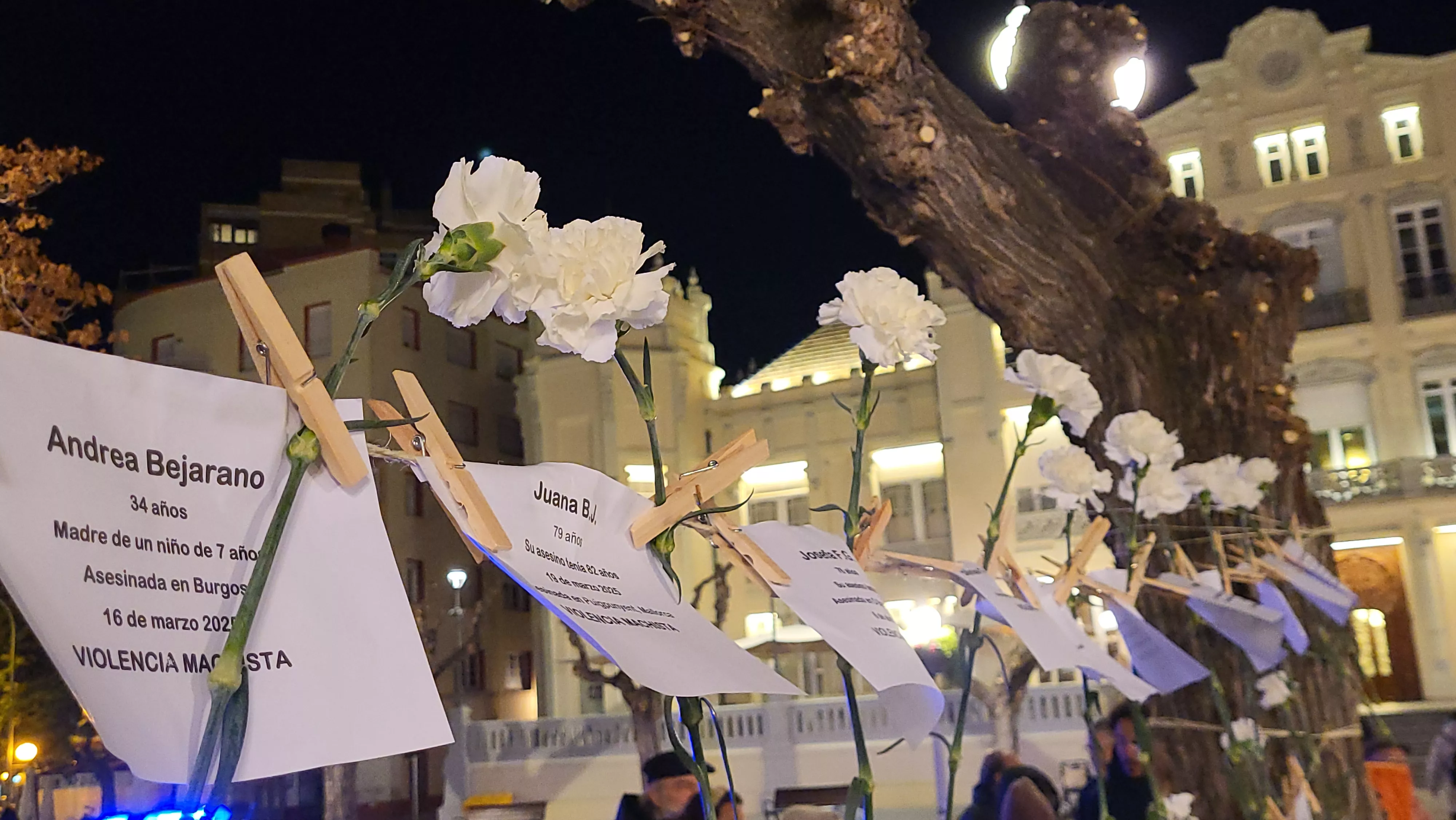Concentración del Día Internacional contra la Violencia contra las Mujeres en Huesca. Foto Mercedes Manterola