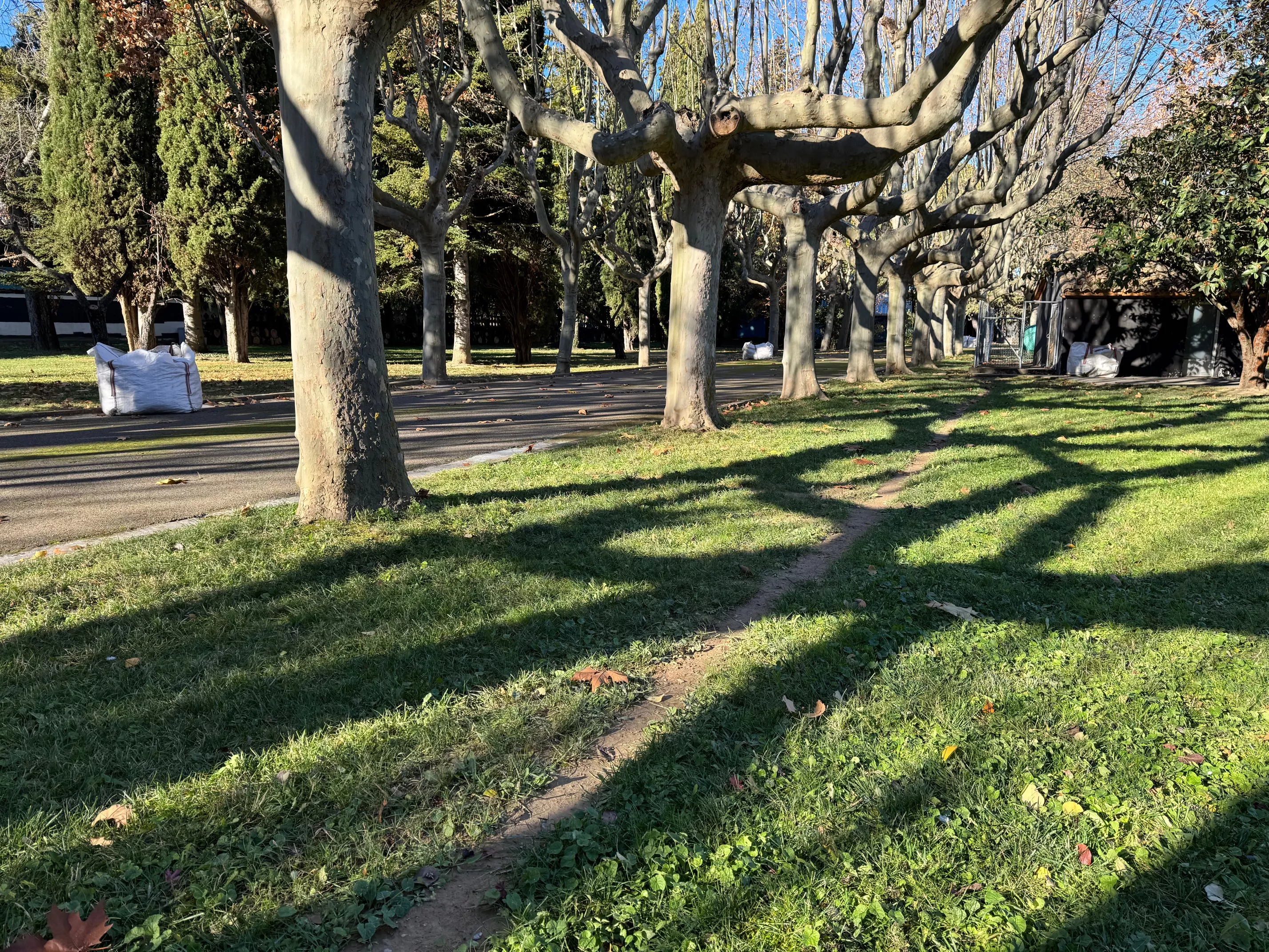 La Finca Beulas con su nuevo riego automatizado. 