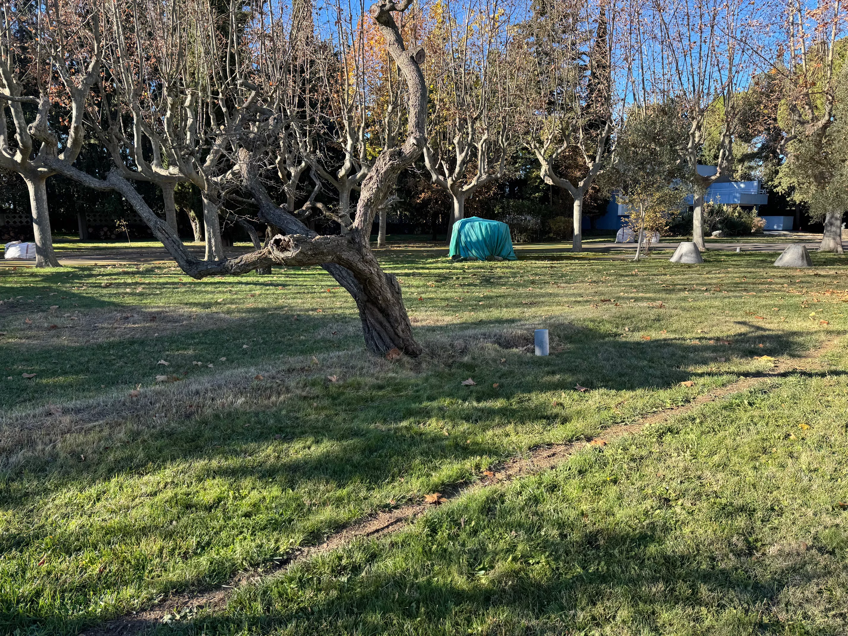 La Finca Beulas con su nuevo riego automatizado.