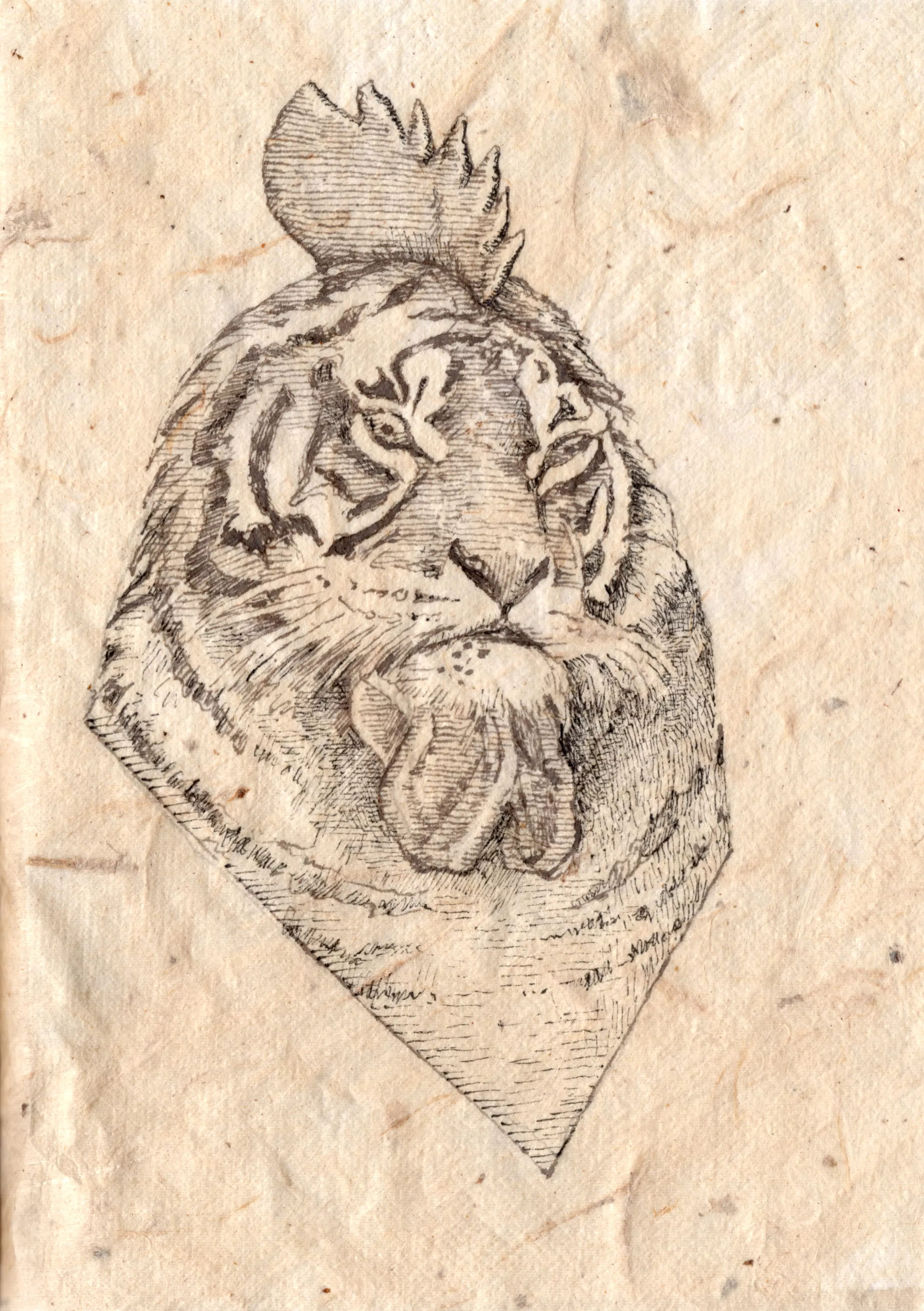 Gallitigre. Allí donde se vuelve de Adela Moreno