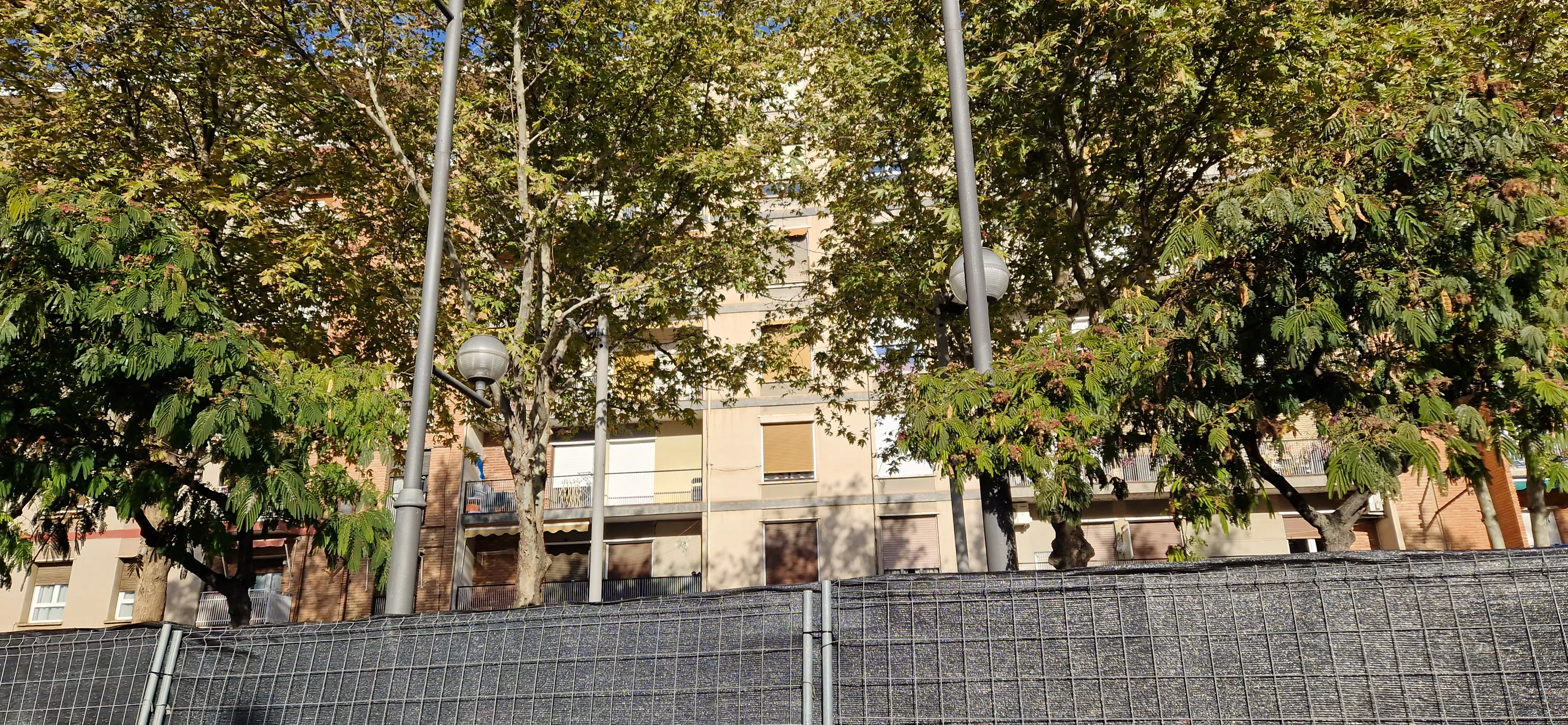 La Plaza Santa Clara este lunes, 1 de diciembre. Foto Myriam Martínez