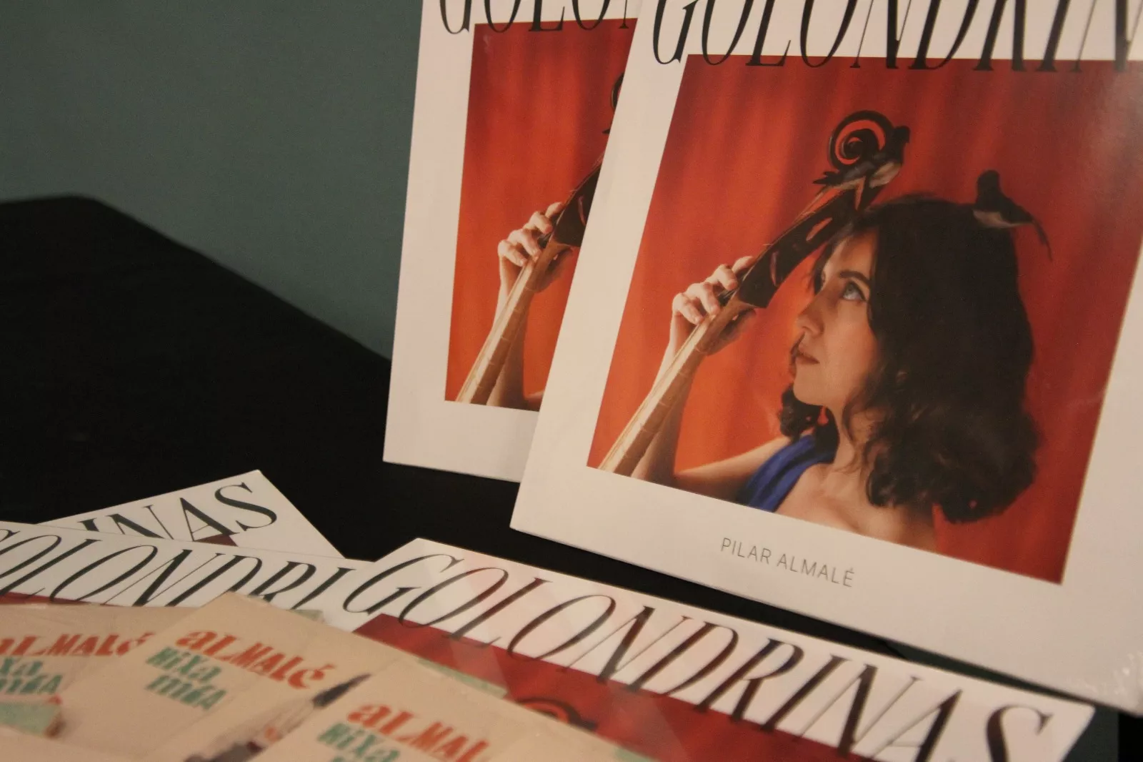 Jornada sobre la depuración del magisterio republicano en el régimen franquista. Foto Carlos Neofato