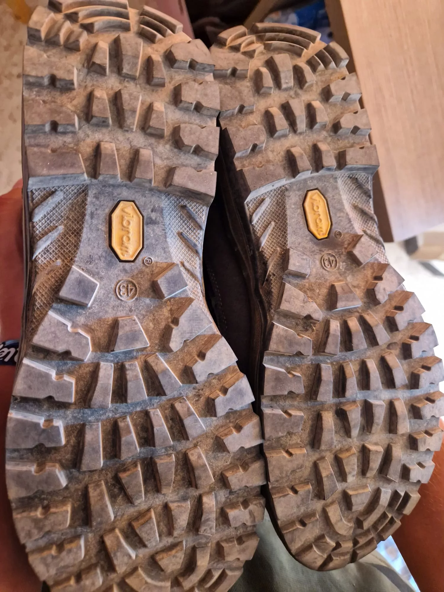 Aragón refuerza la campaña de prevención de la peste porcina con recomendaciones para montañeros y ciclistas