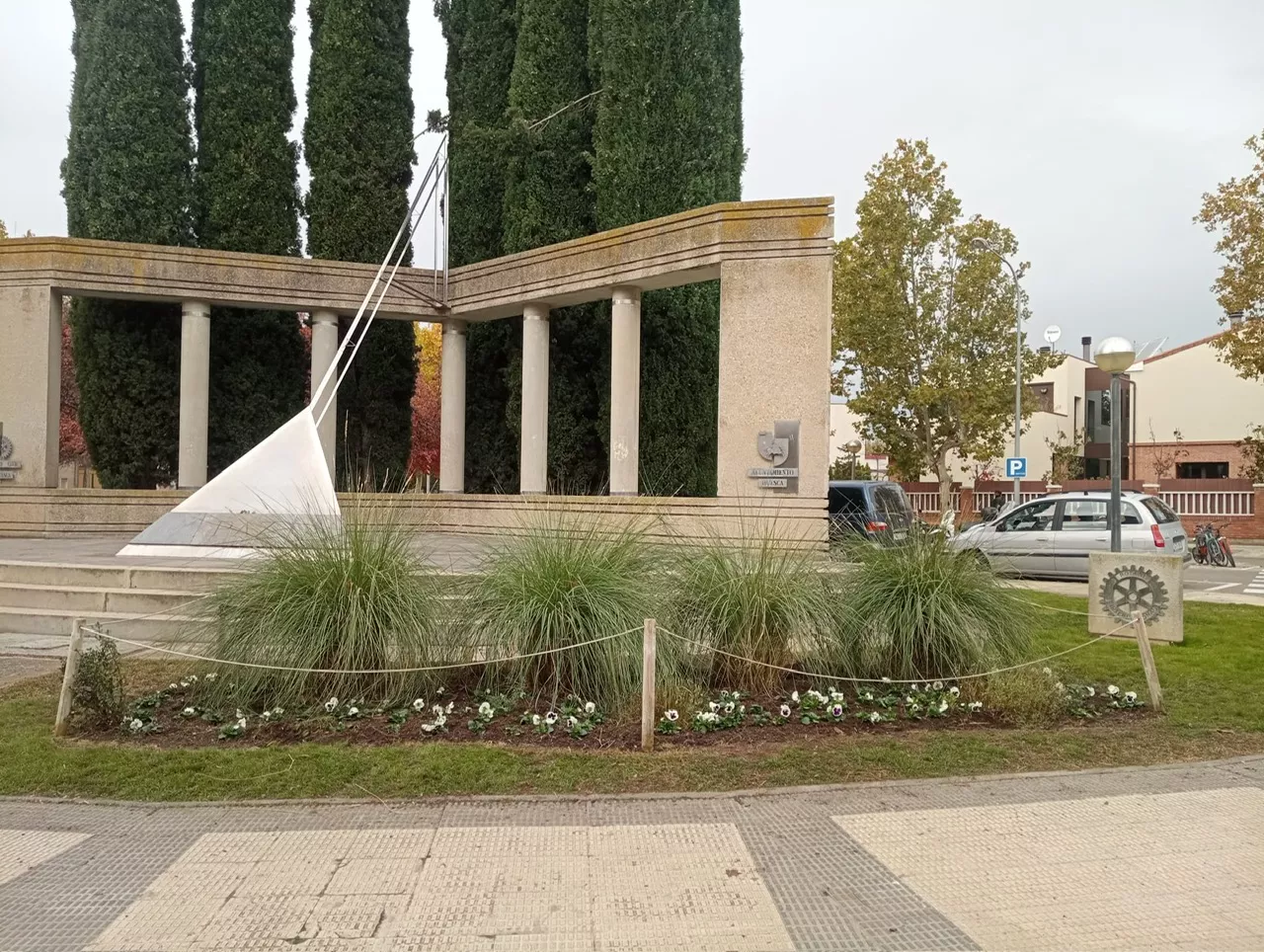 Plantas y flores de invierno del Ayuntamiento de Huesca