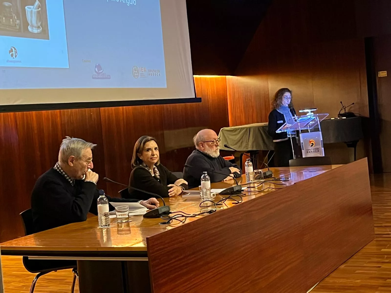 Enrique Carbó, María Jesús Hernández, Enrique Chabier Compairé y Susana Villacampa.