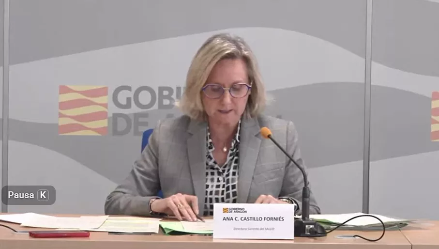 Ana Castillo Forniés, en la rueda de prensa. 